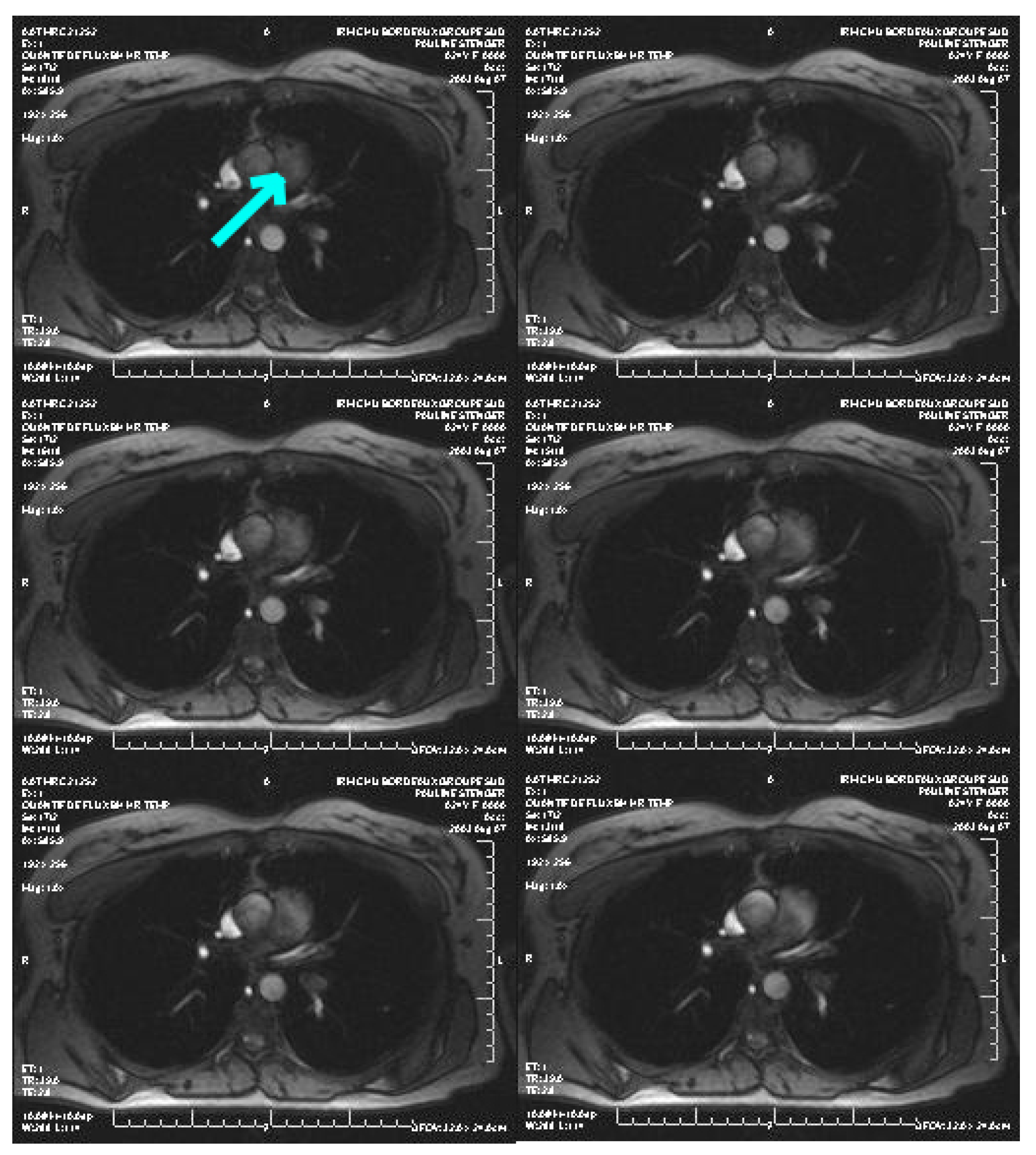 Mca 27 00026 g009