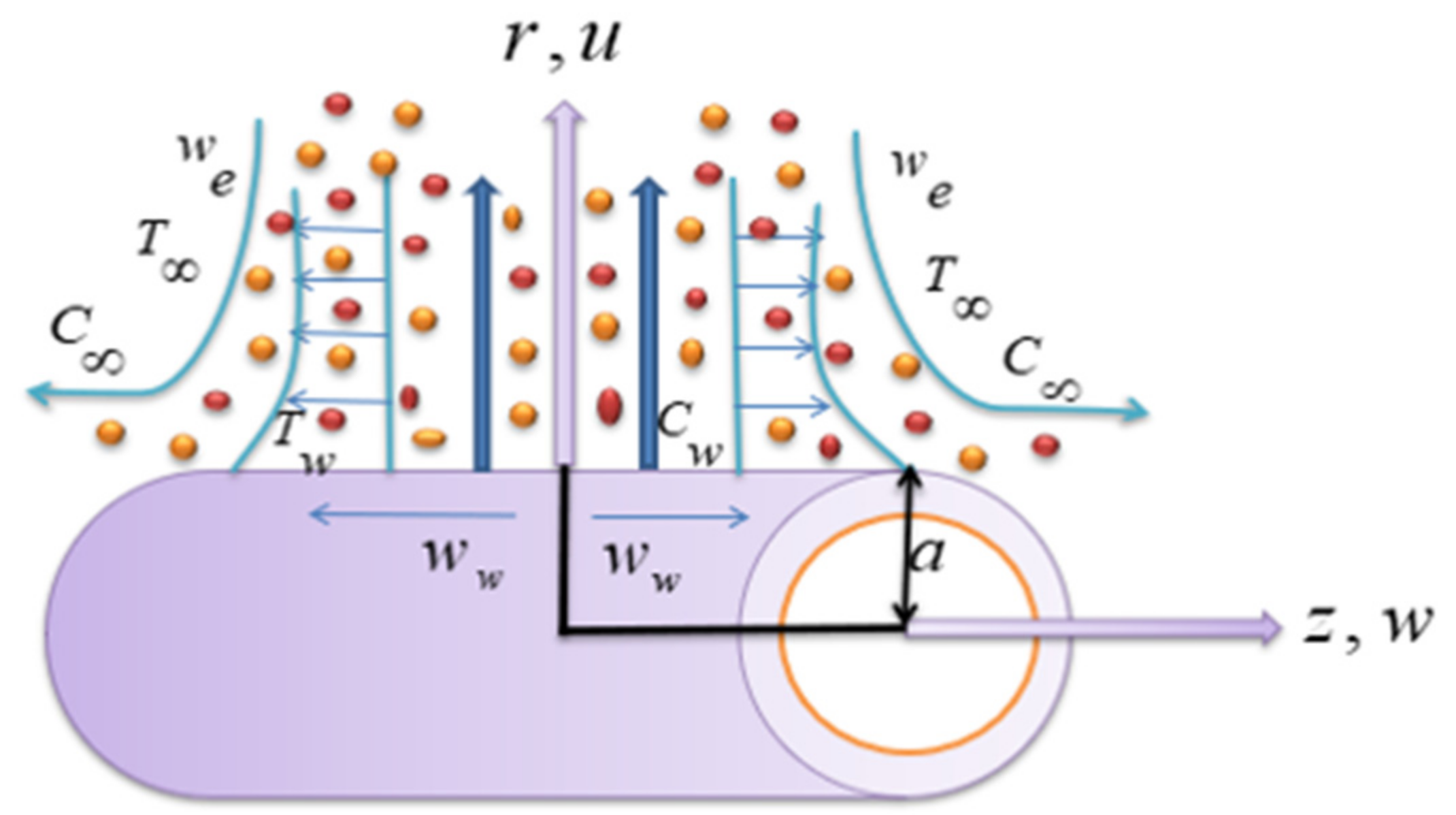 Mca 27 00091 g001 Mca 27 00091 g001