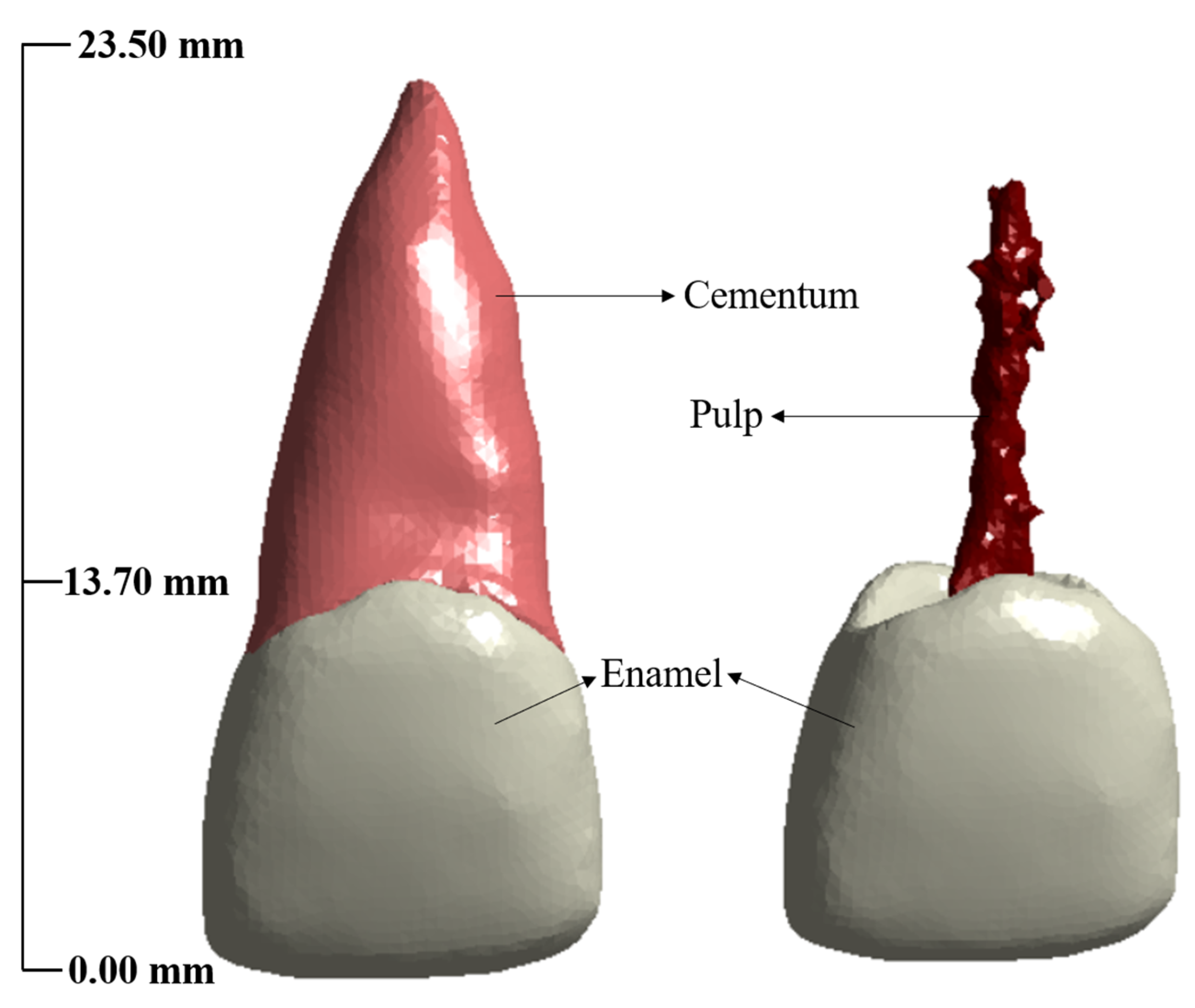 Mca 28 00041 g001 Mca 28 00041 g001