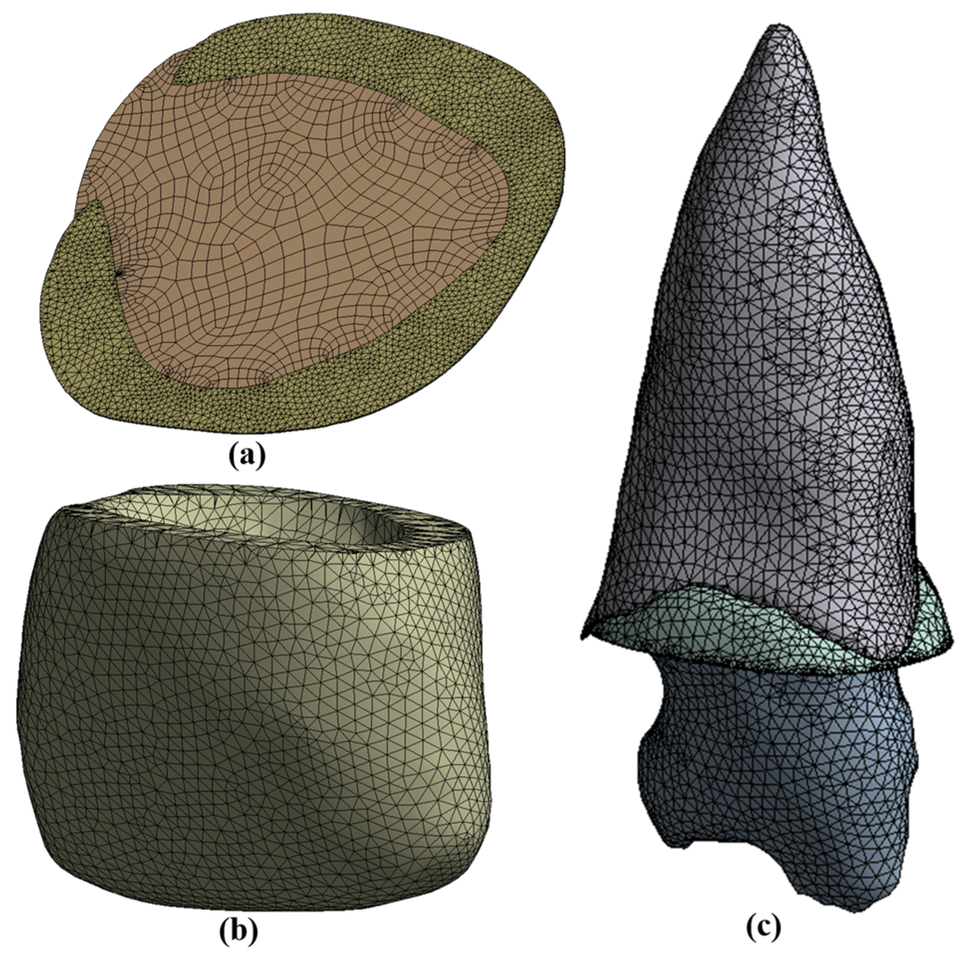 Mca 28 00041 g003 Mca 28 00041 g003