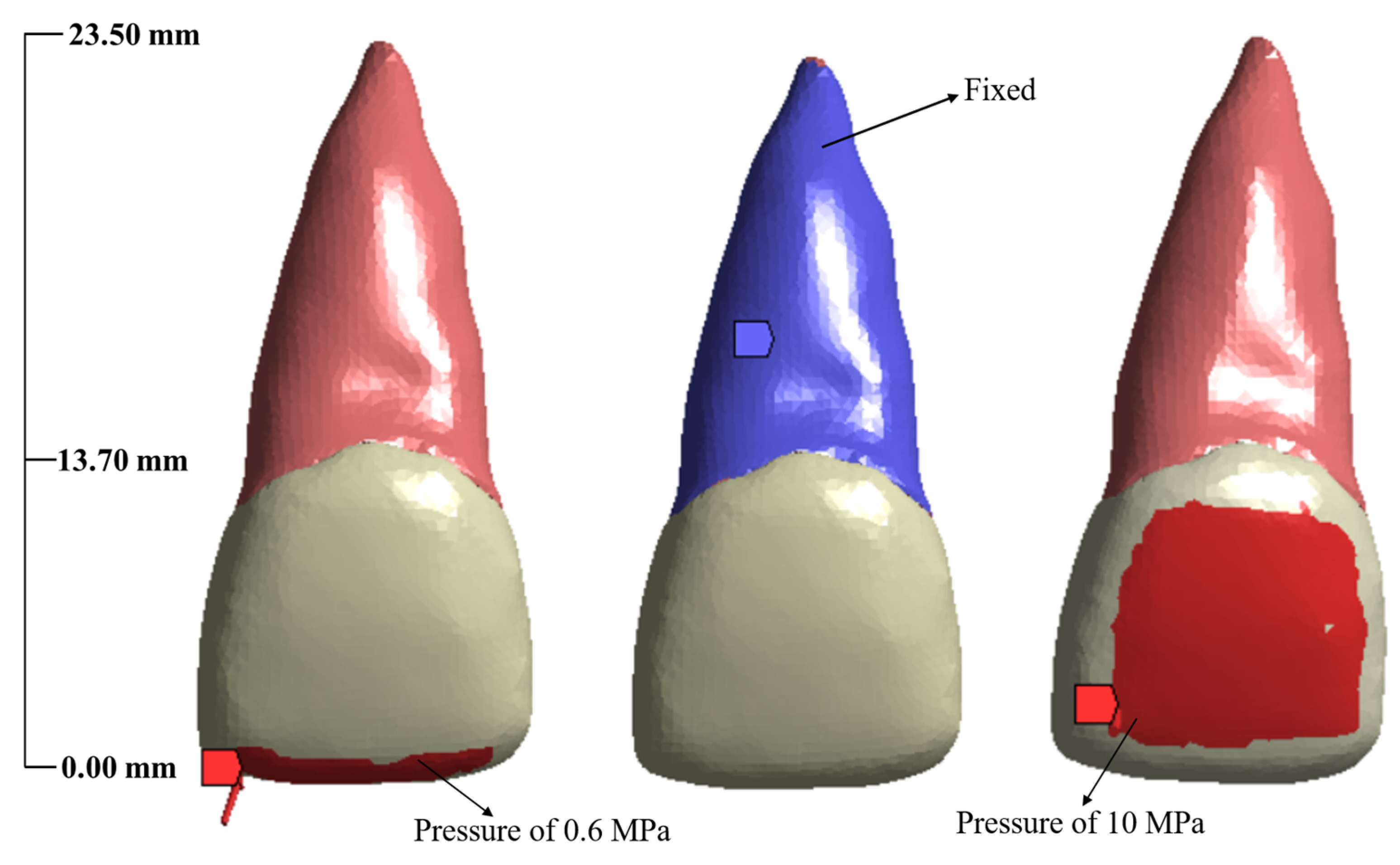 Mca 28 00041 g004 Mca 28 00041 g004