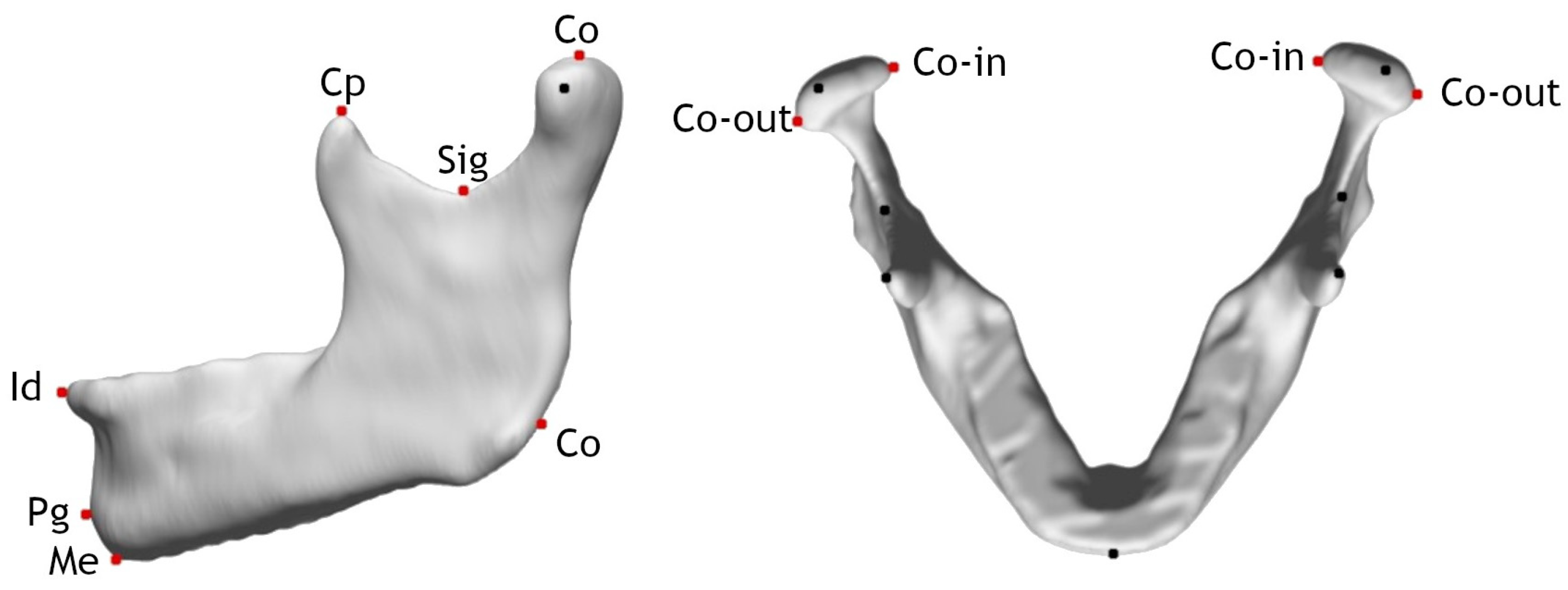 Mca 29 00061 g001 Mca 29 00061 g001