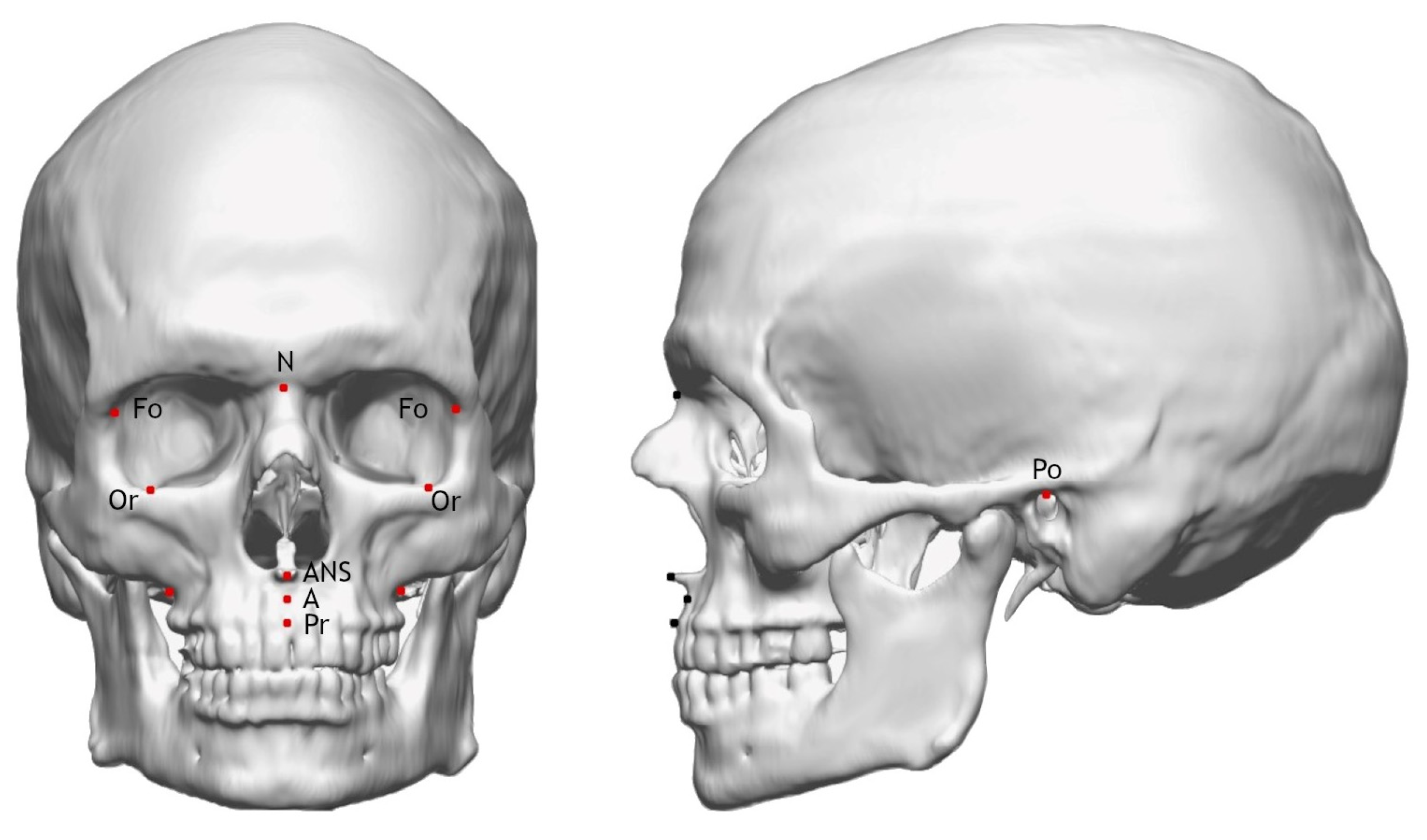 Mca 29 00061 g002 Mca 29 00061 g002