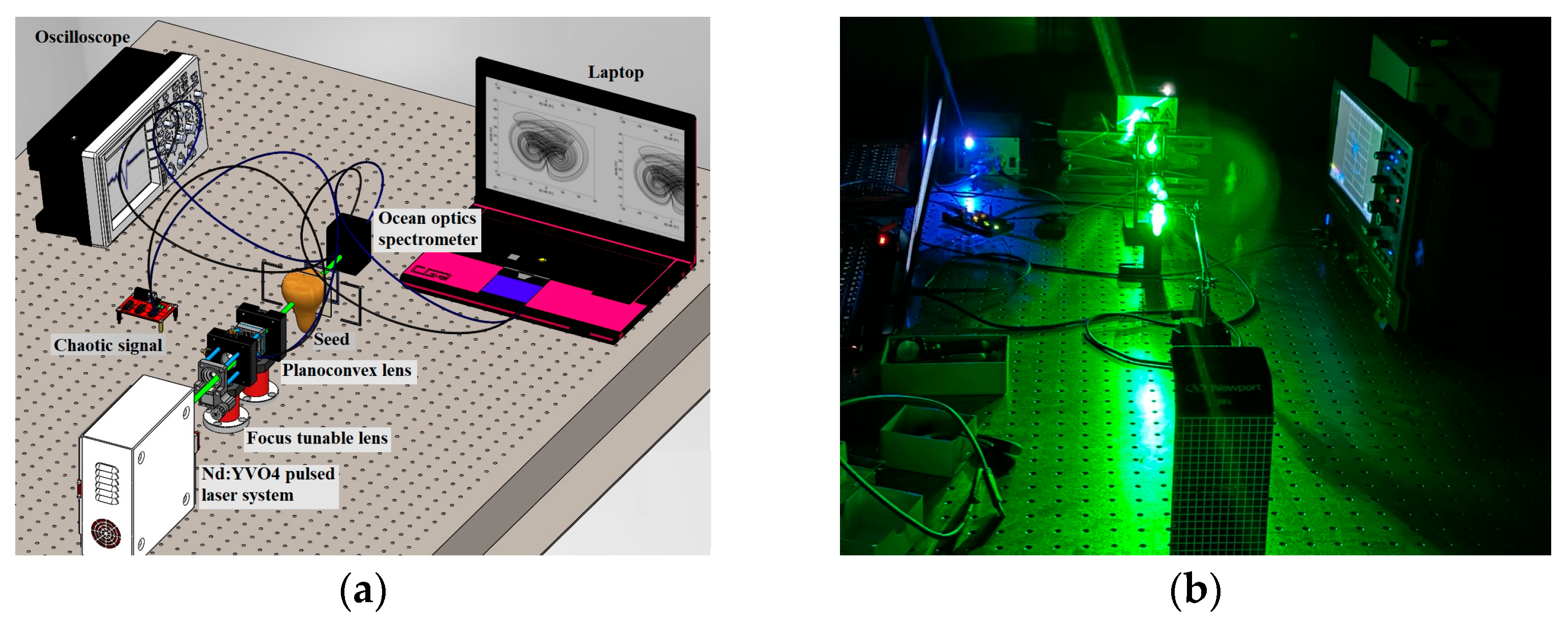 Mca 30 00113 g001 Mca 30 00113 g001