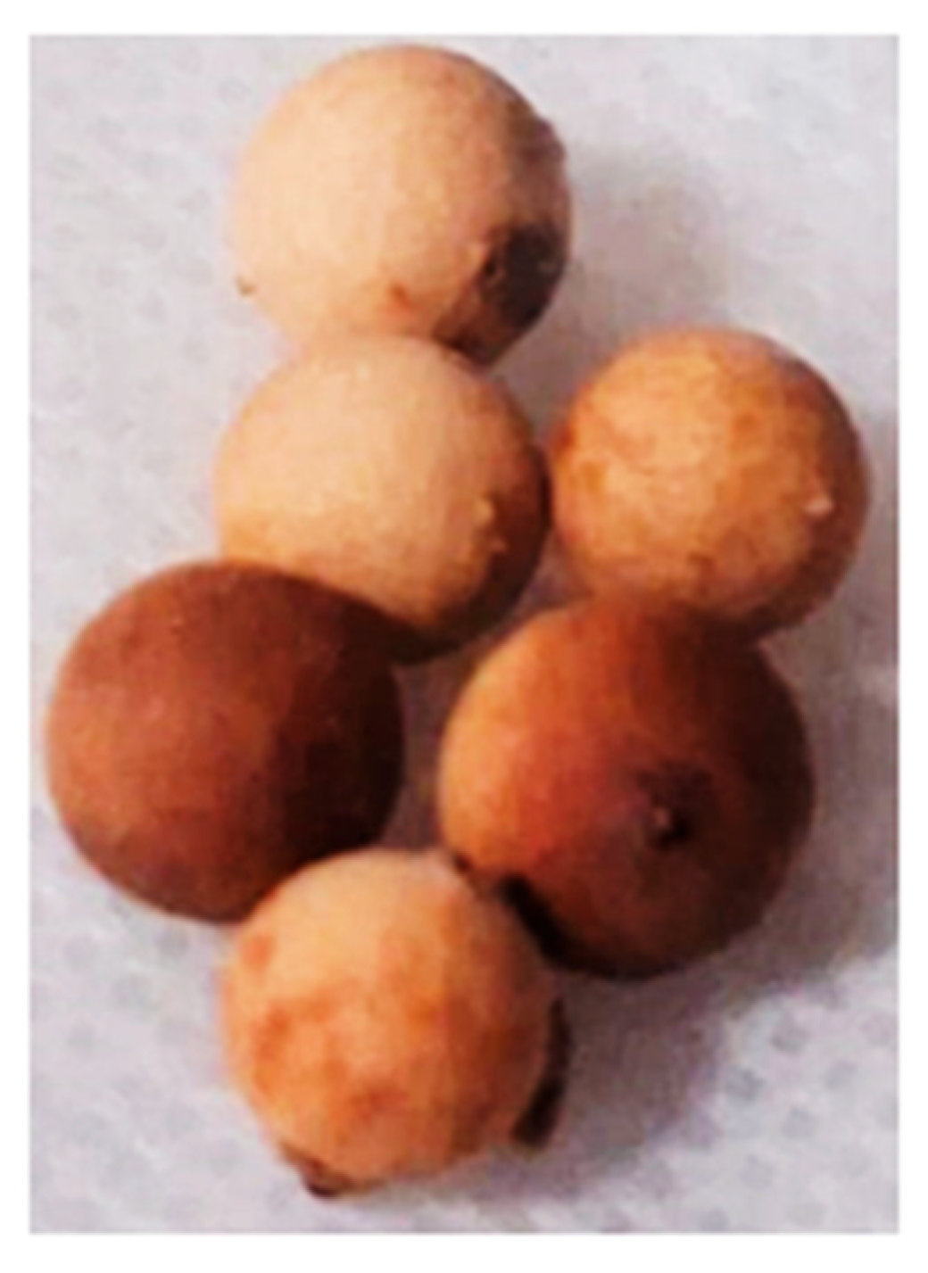 Mca 30 00113 g003 Mca 30 00113 g003