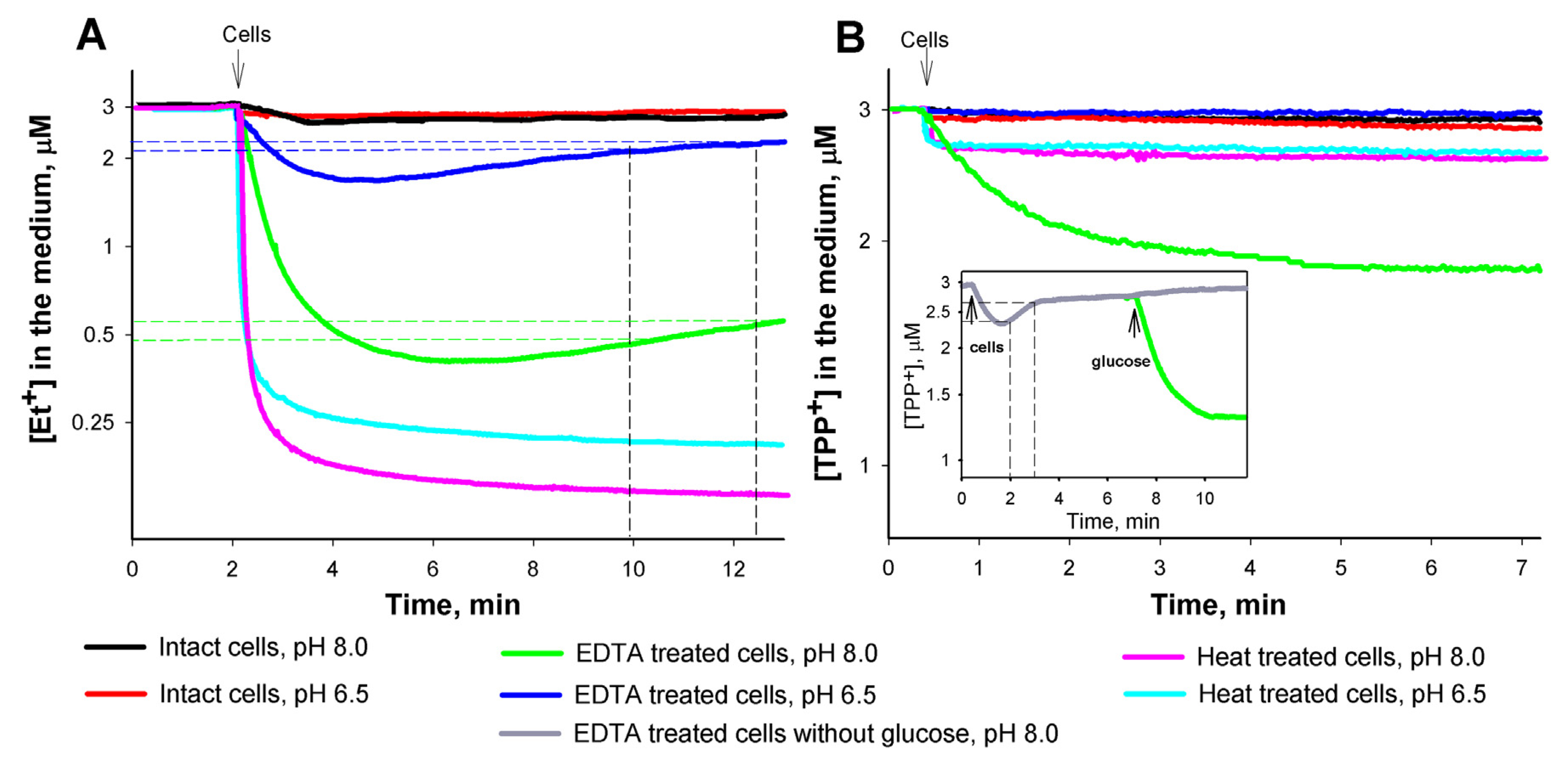 Medicina 53 00122 g002