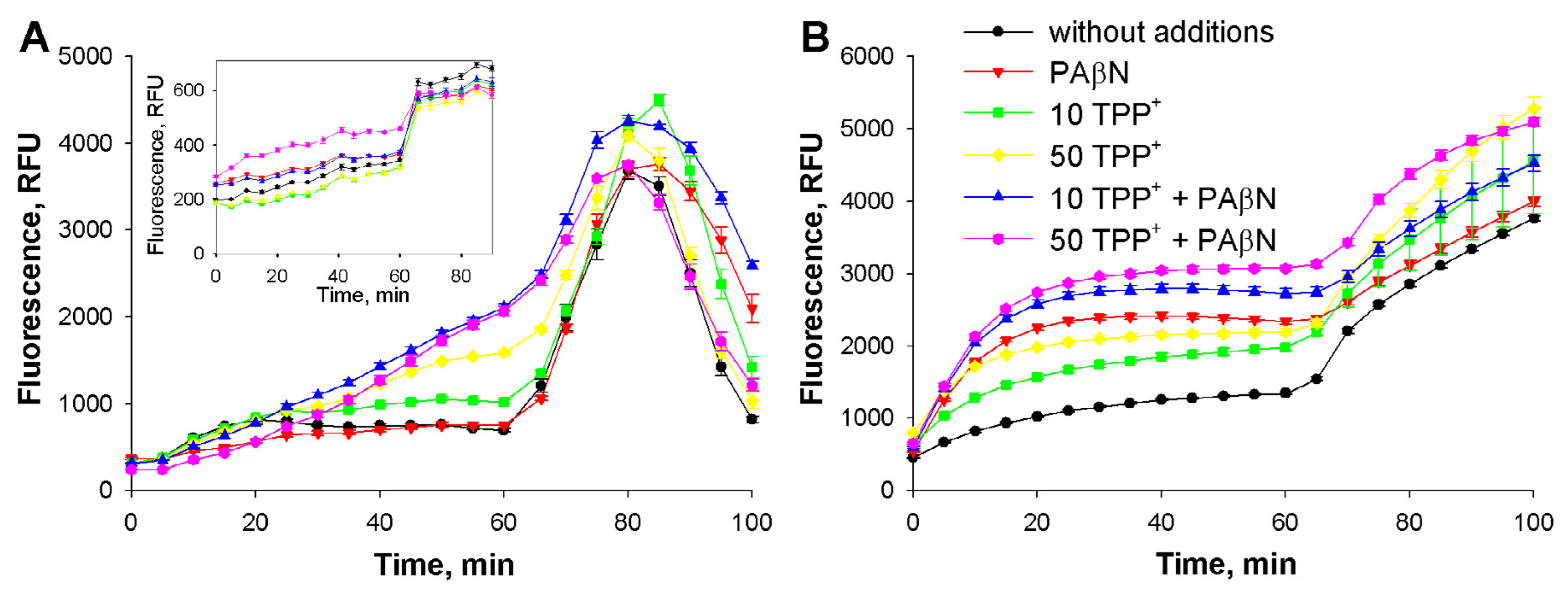 Medicina 53 00122 g004
