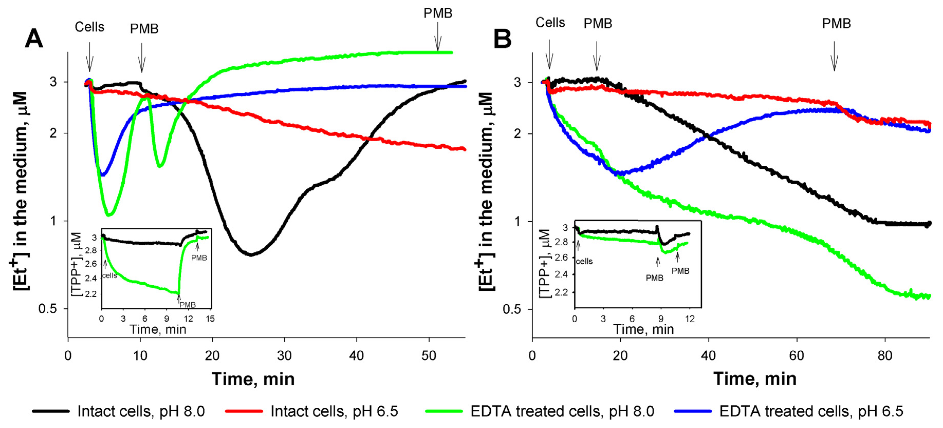 Medicina 53 00122 g005