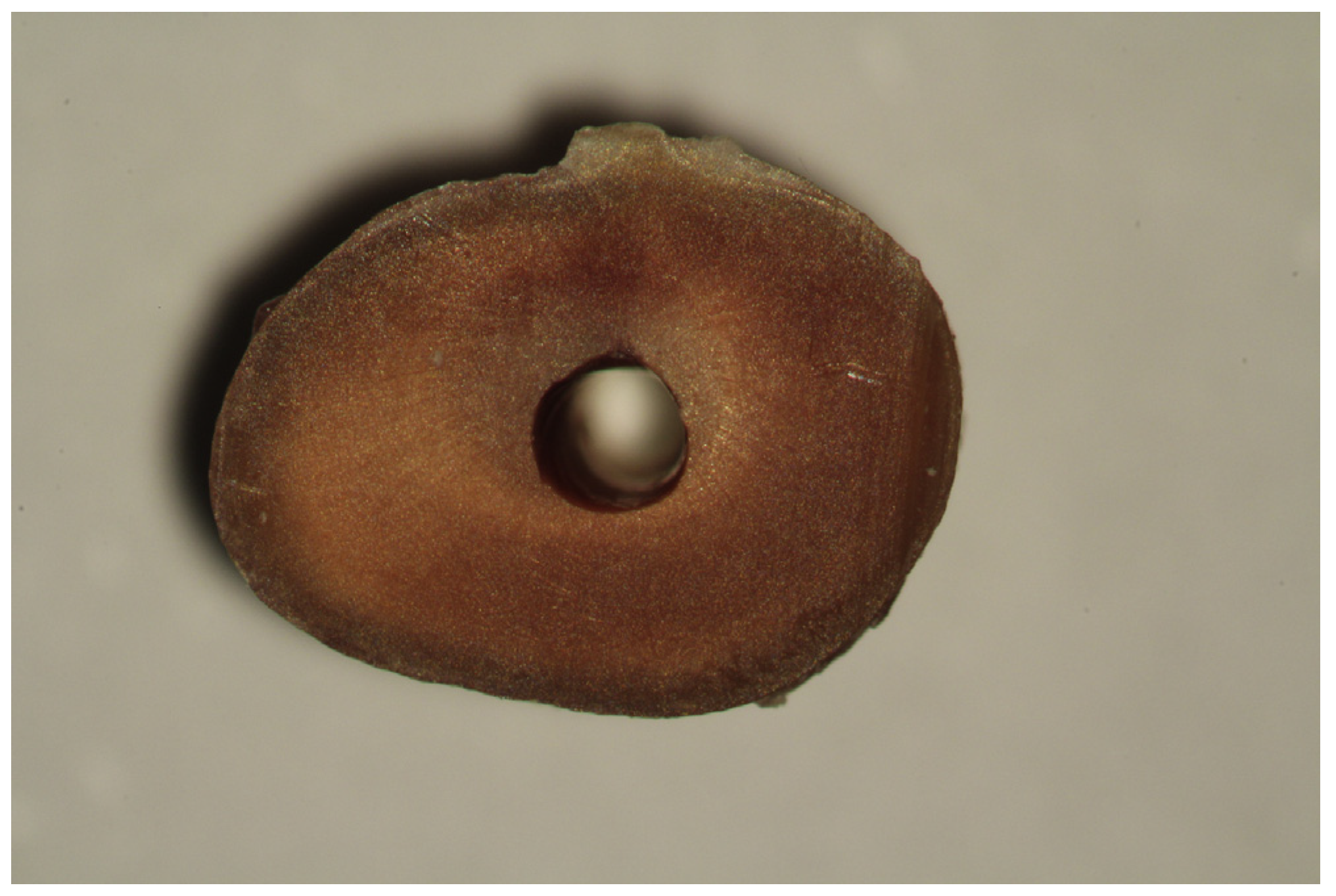 Medicina 53 00166 g001