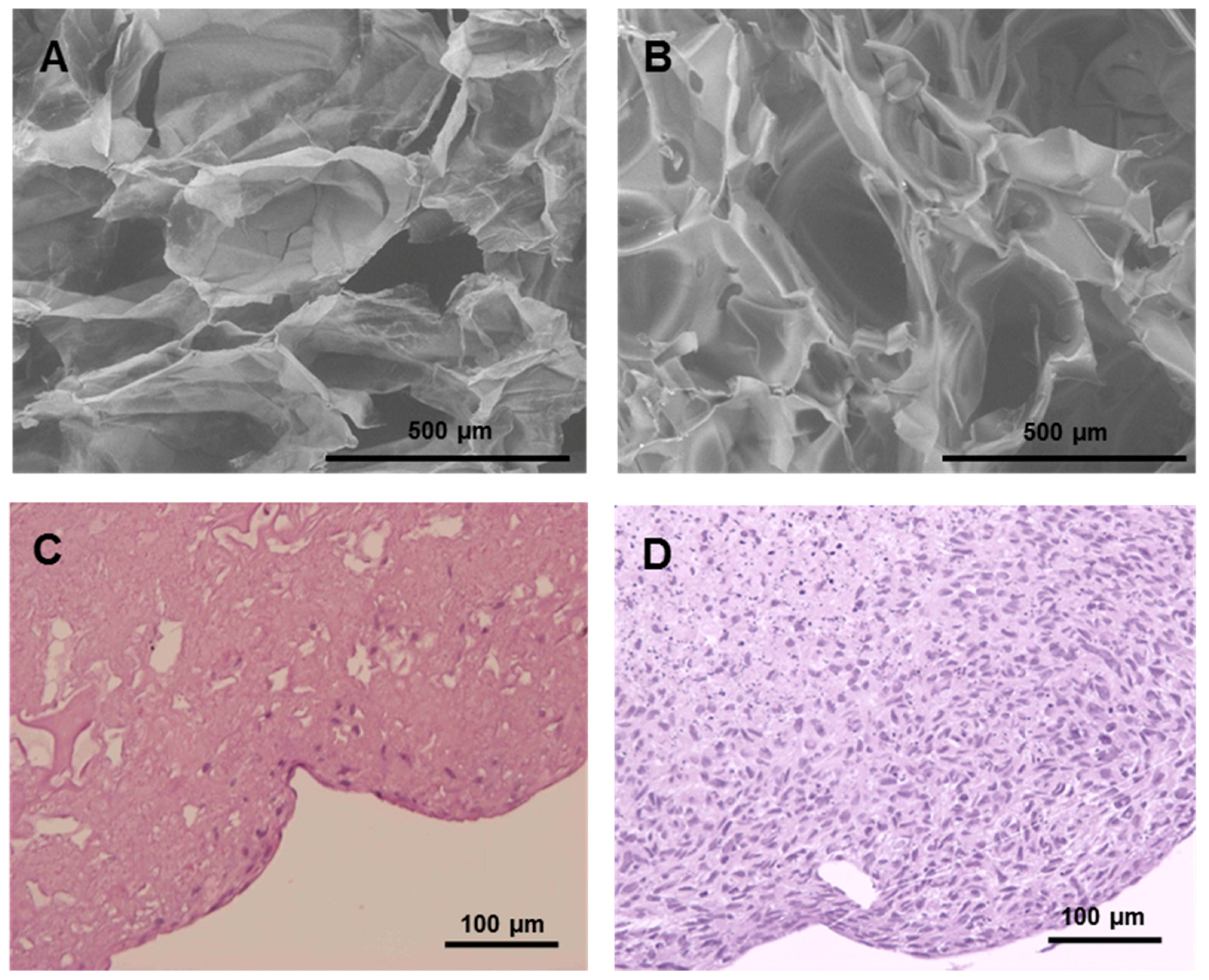 Medicina 53 00203 g001