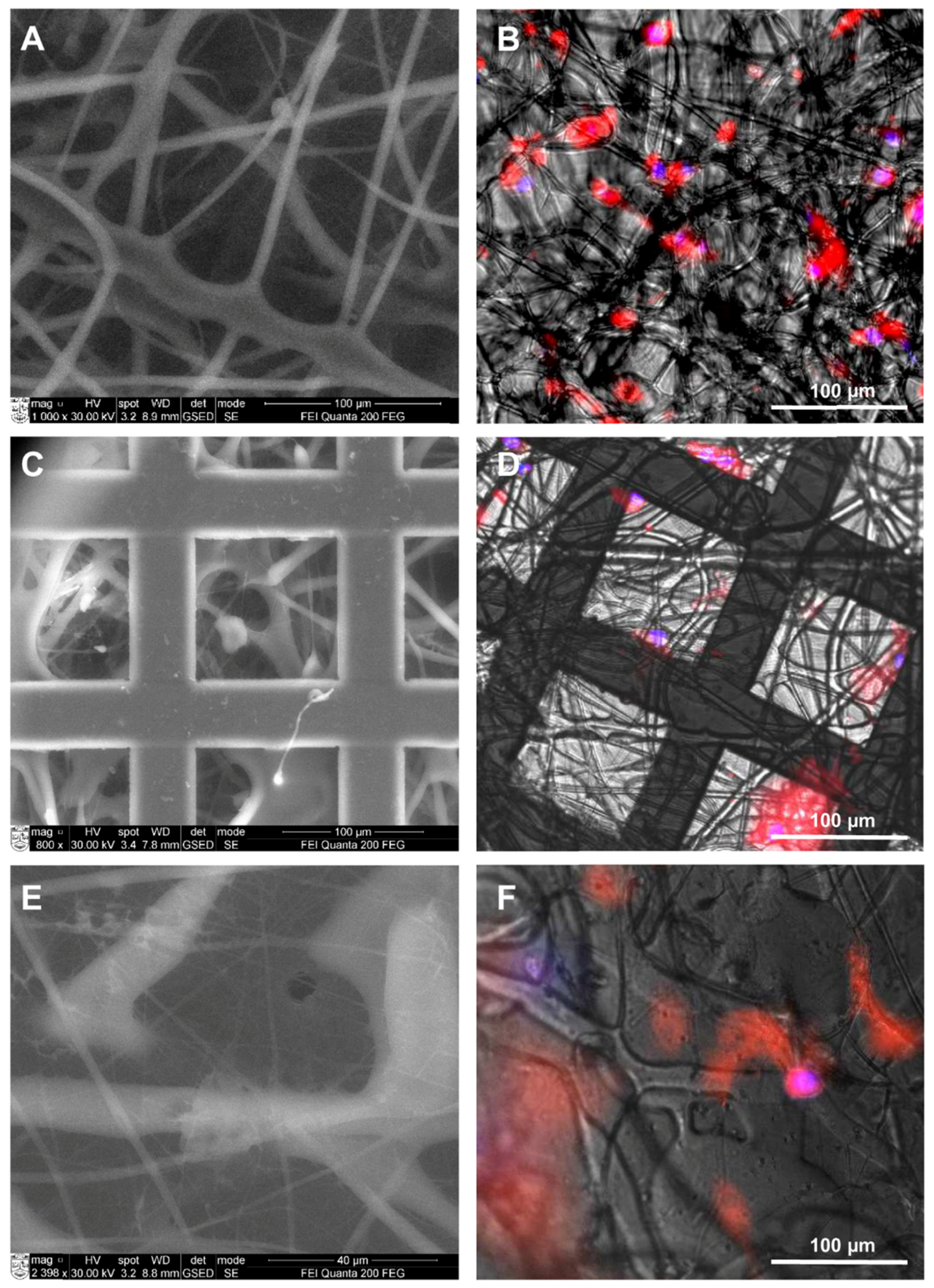 Medicina 53 00203 g005