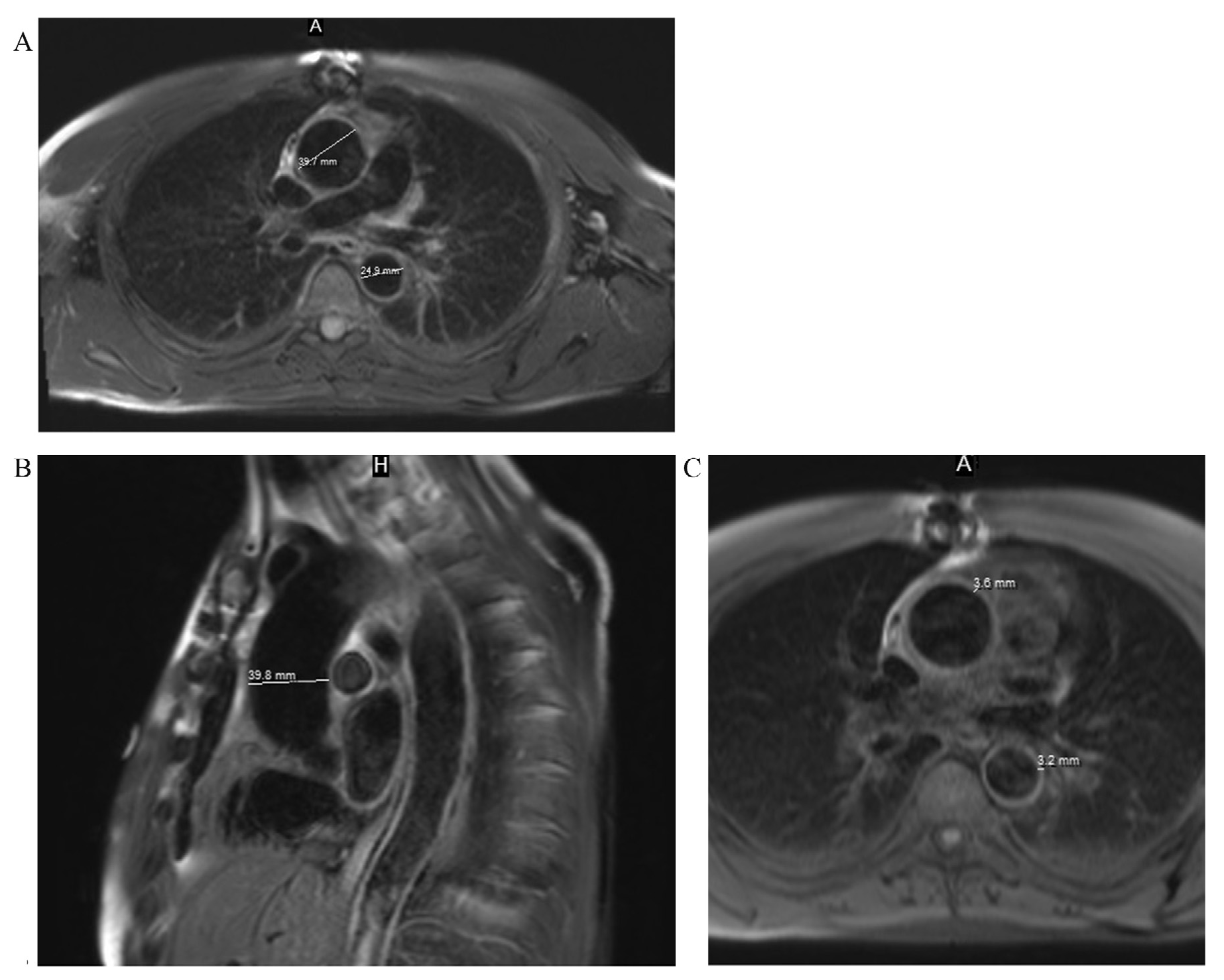 Medicina 53 00211 g005