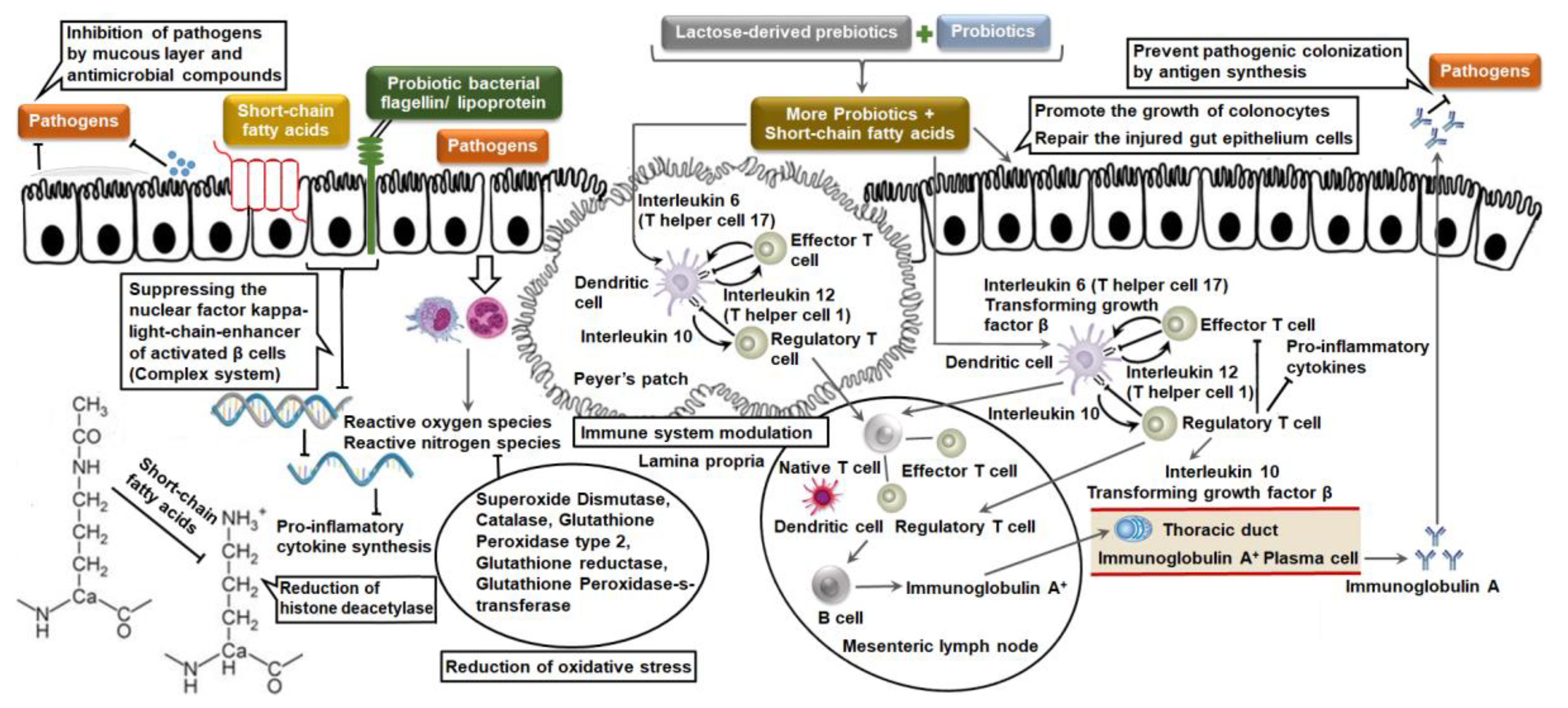 Medicina 54 00018 g003