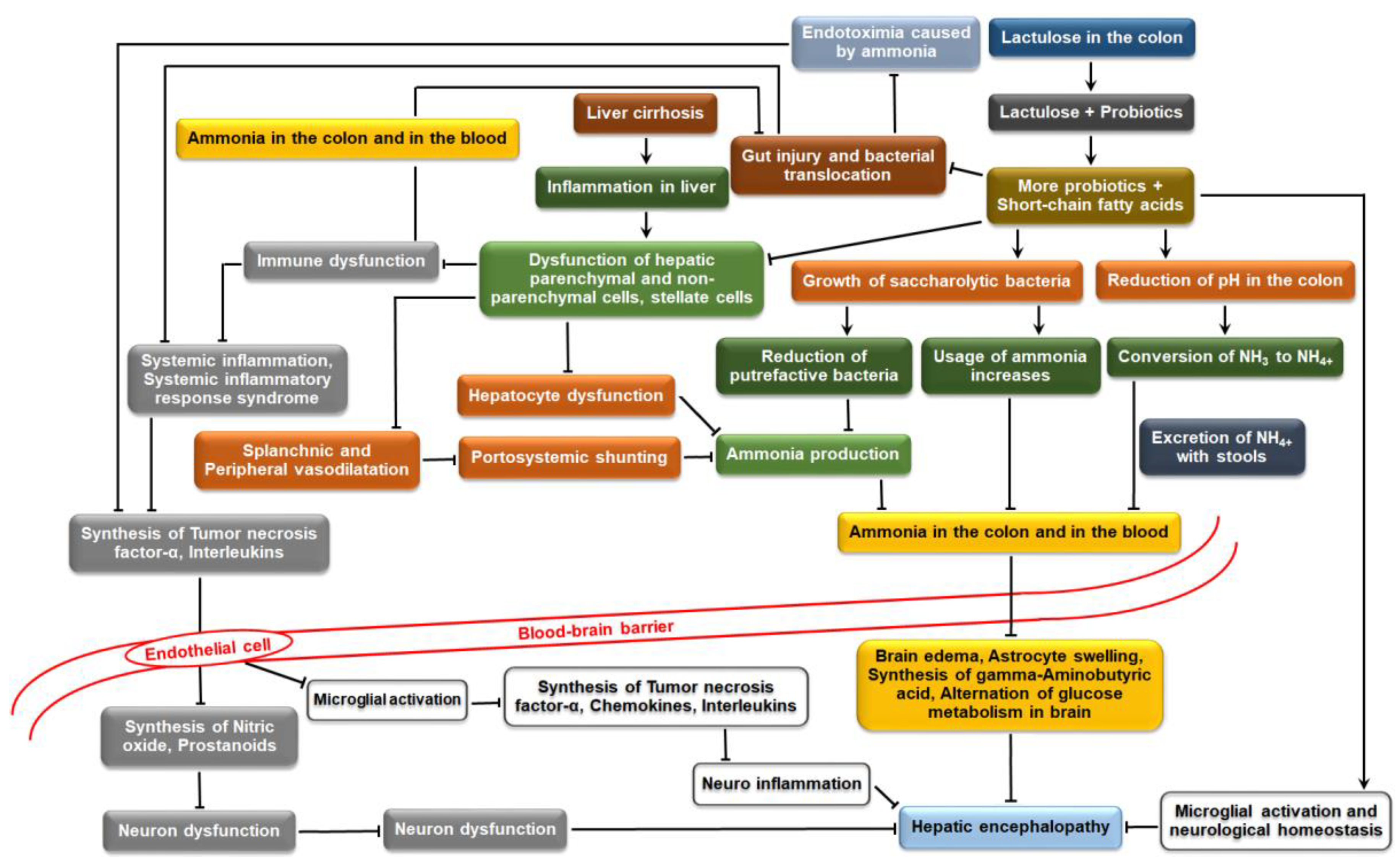 Medicina 54 00018 g004