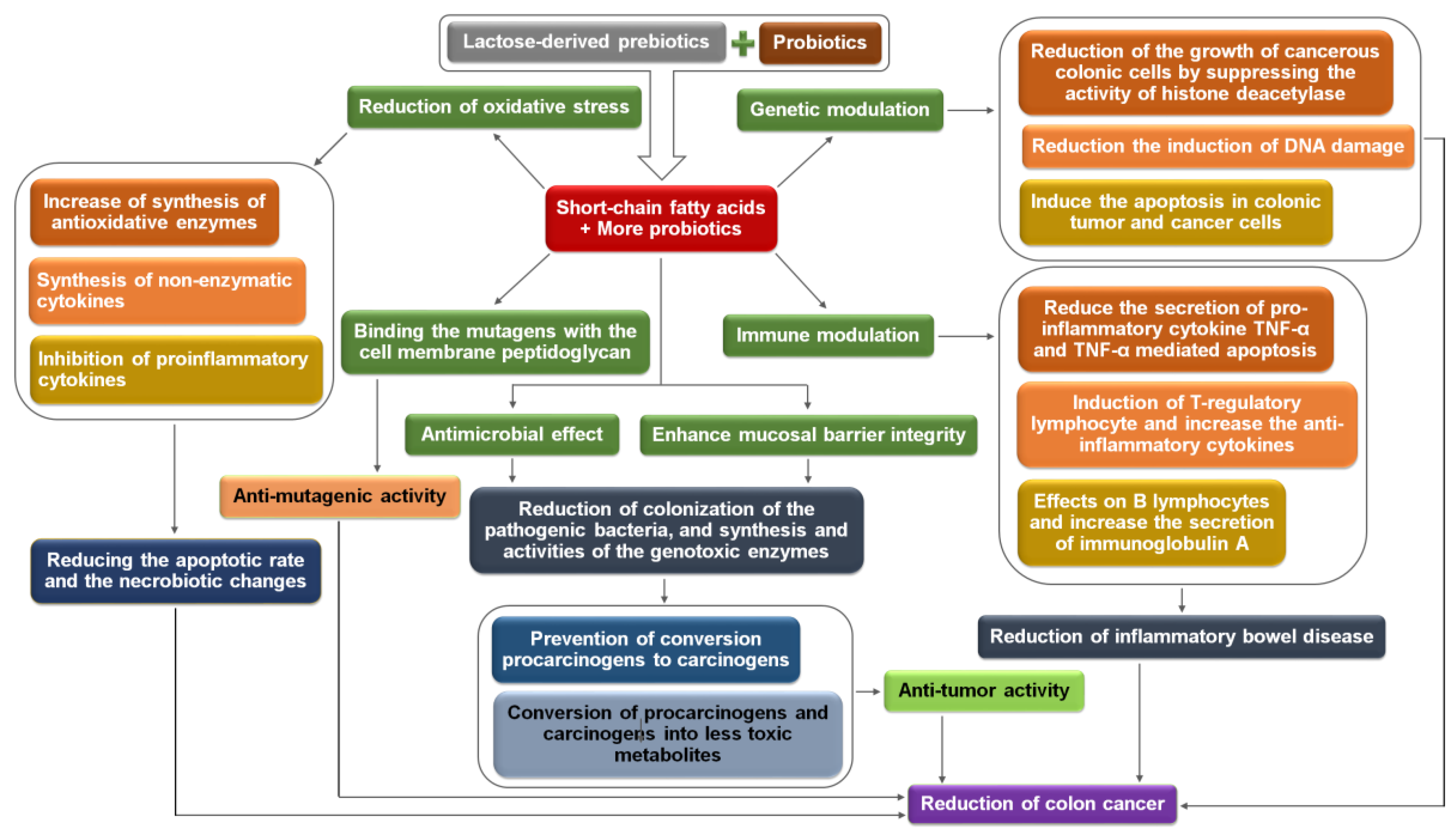Medicina 54 00018 g005