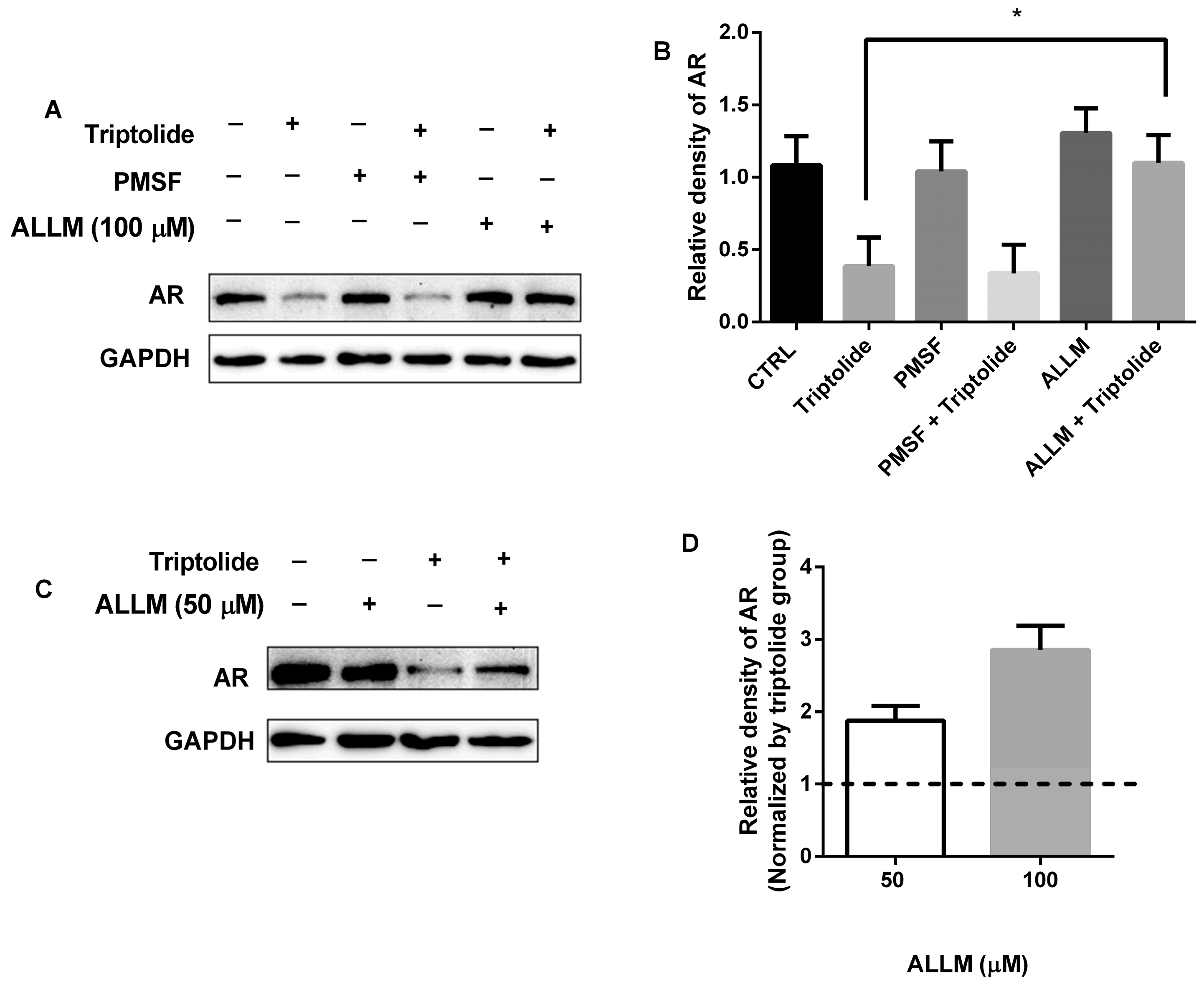 Medicina 54 00039 g002
