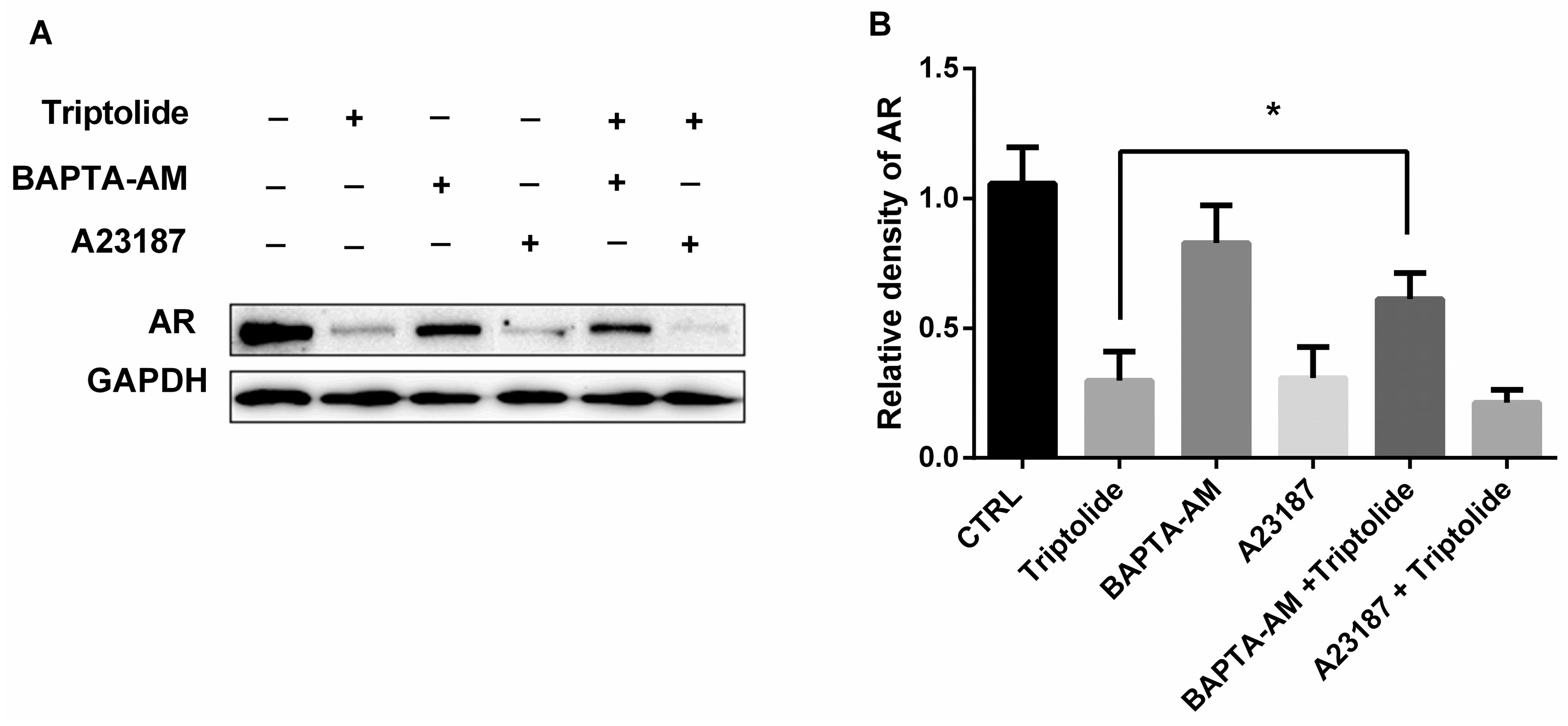 Medicina 54 00039 g005