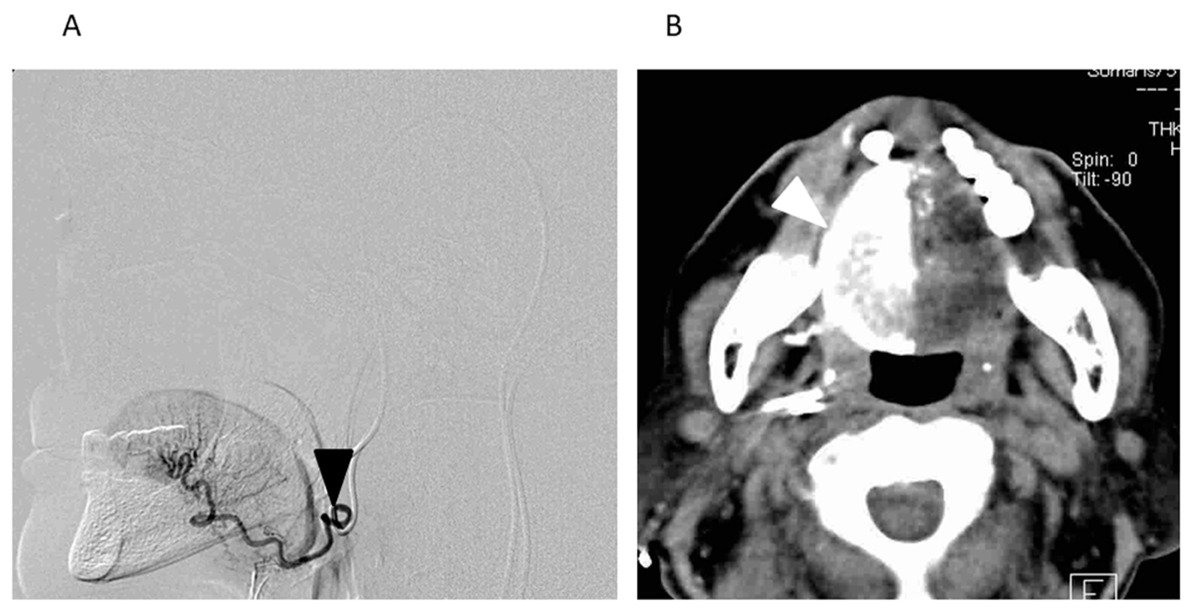 Medicina 54 00052 g002