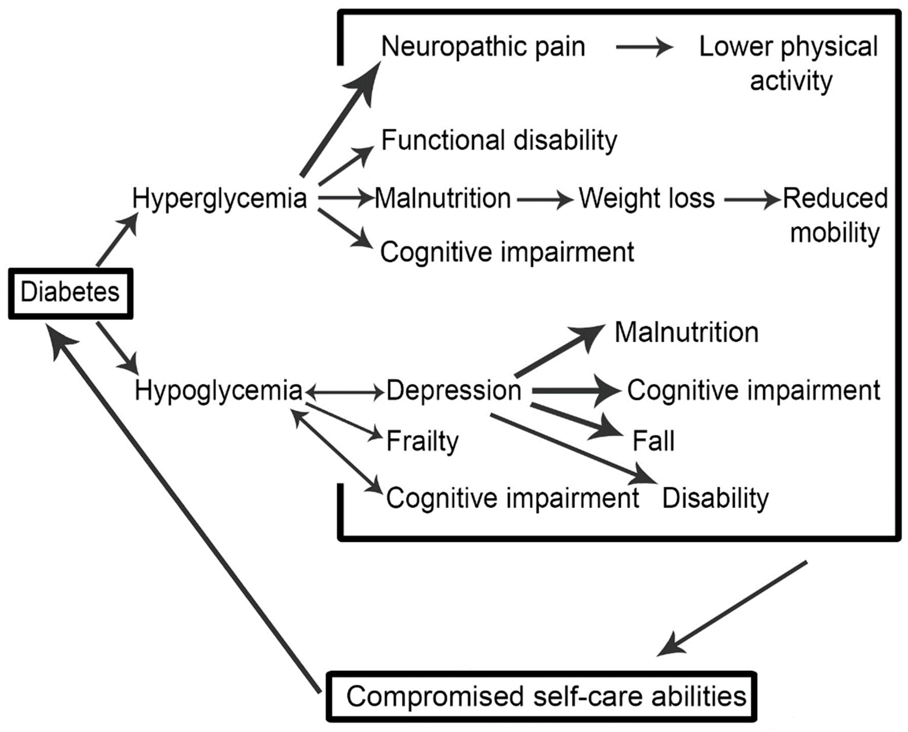 Medicina 54 00073 g002