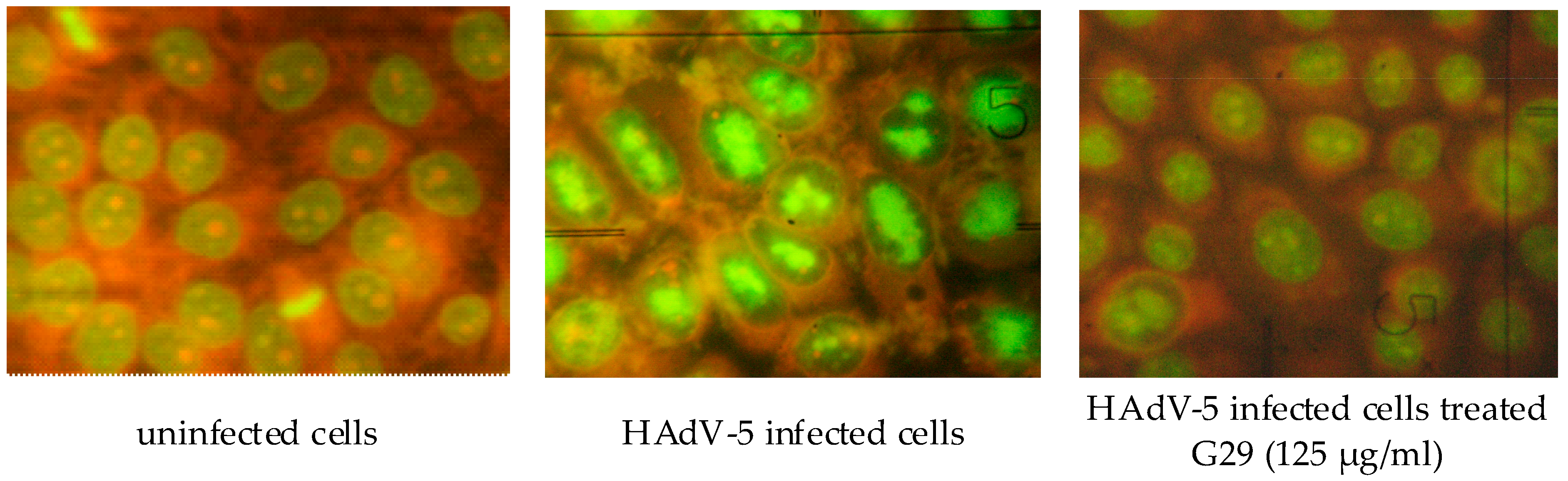 Medicina 54 00081 g004 Medicina 54 00081 g004