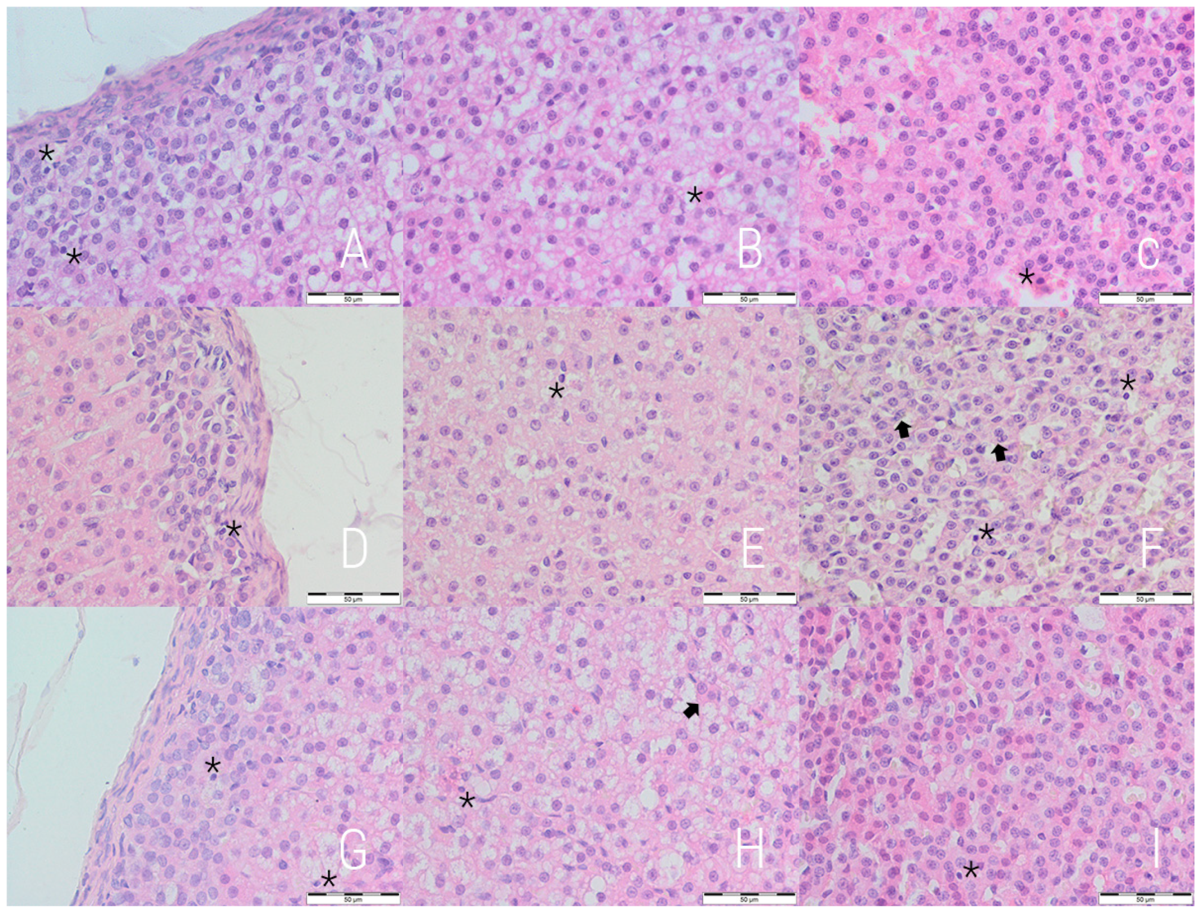 Medicina 54 00090 g001