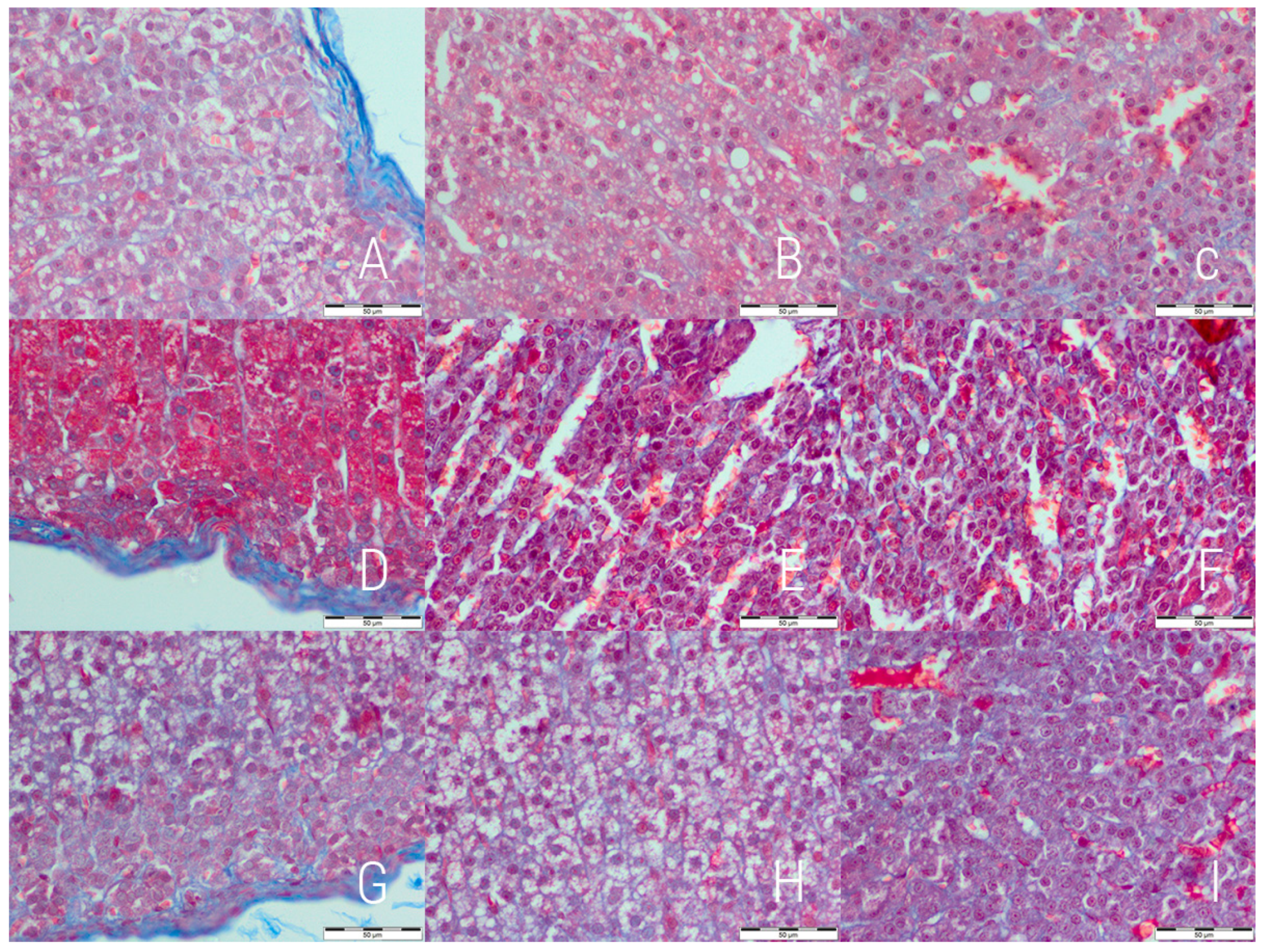Medicina 54 00090 g002