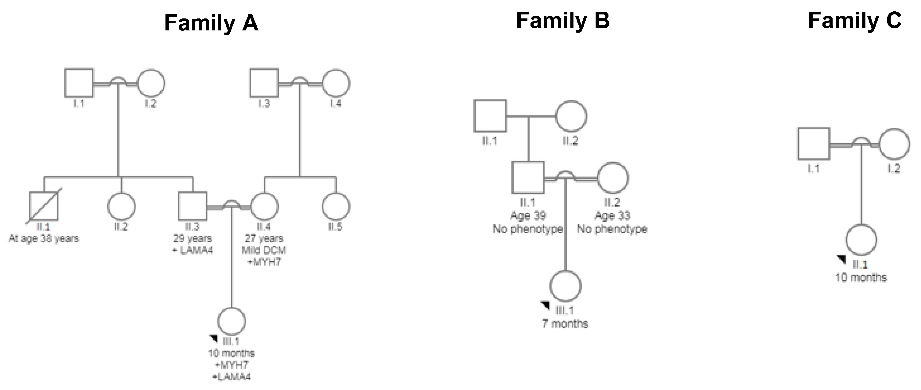 Medicina 55 00017 g001