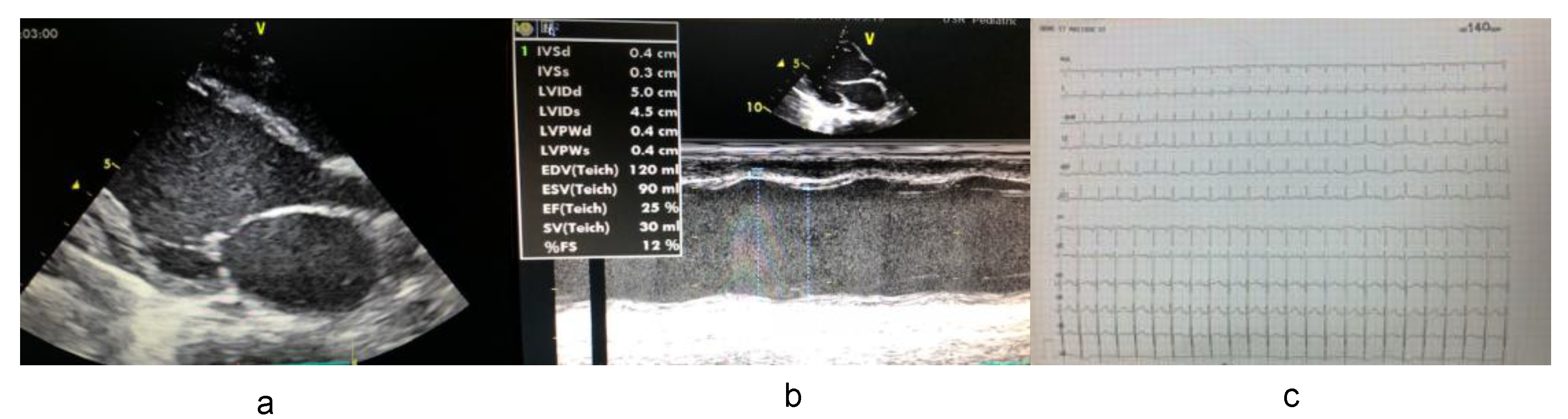 Medicina 55 00017 g002