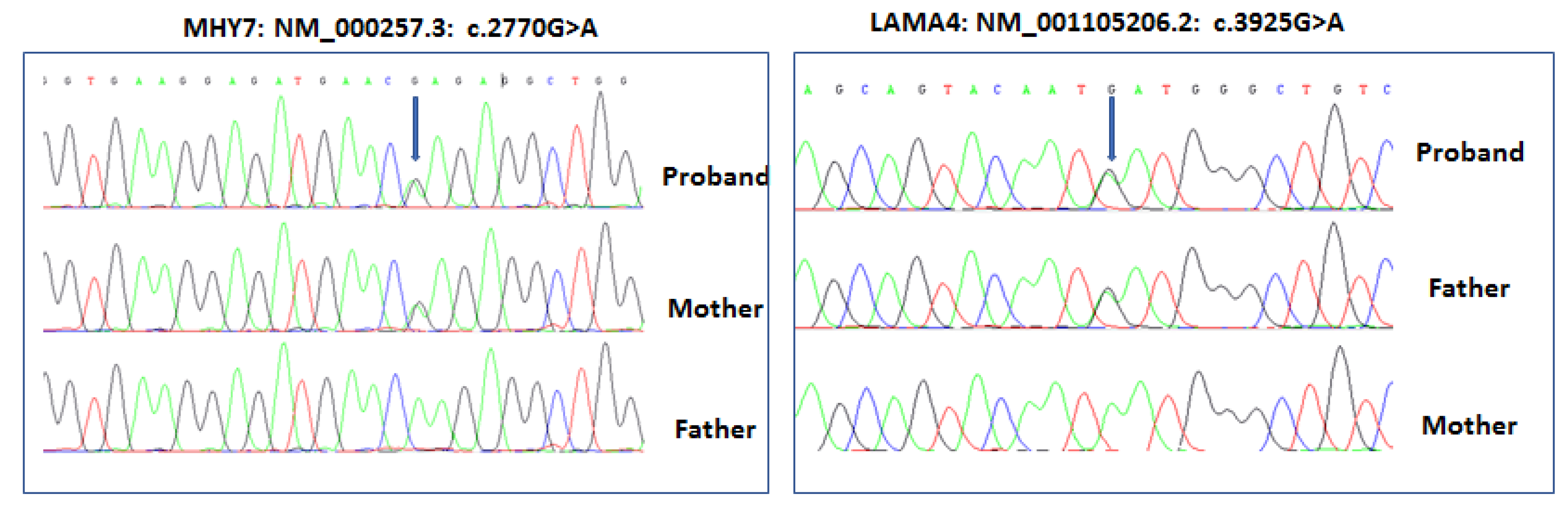 Medicina 55 00017 g003