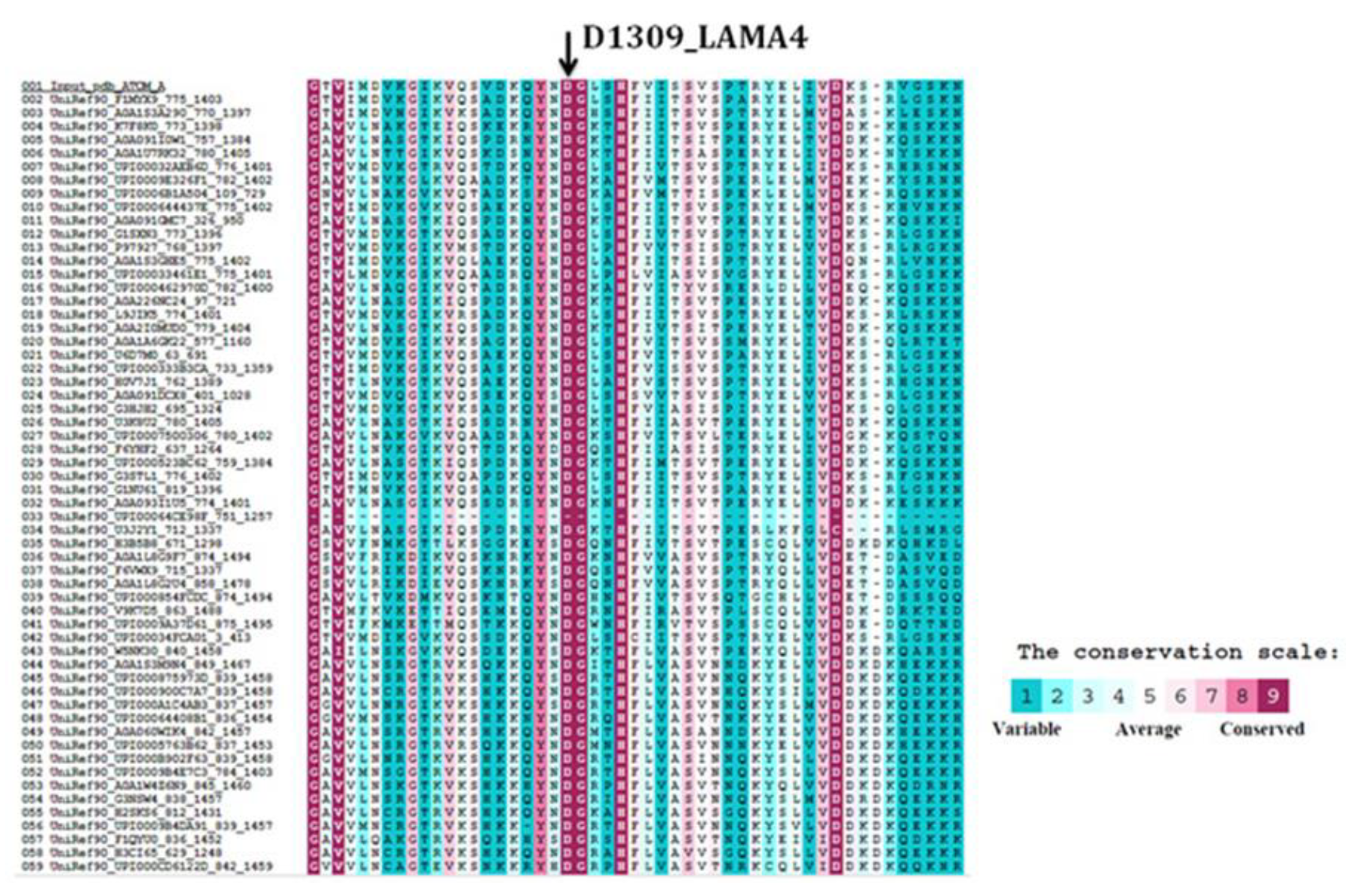 Medicina 55 00017 g004