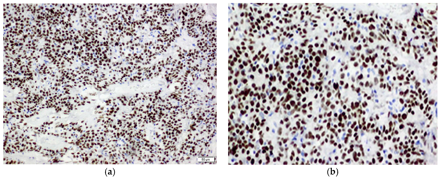 Medicina 55 00027 g004 Medicina 55 00027 g004