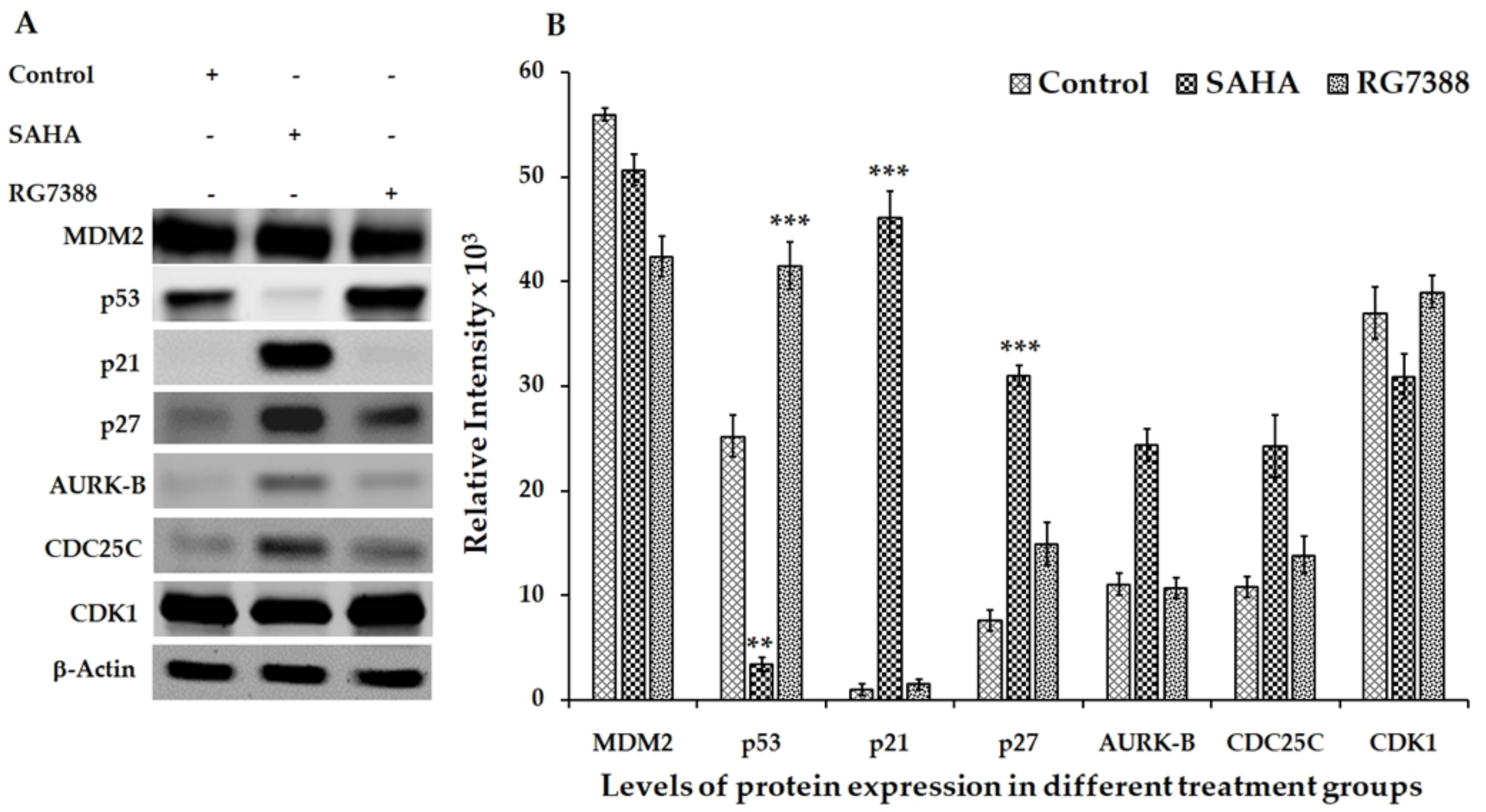 Medicina 55 00030 g003 Medicina 55 00030 g003