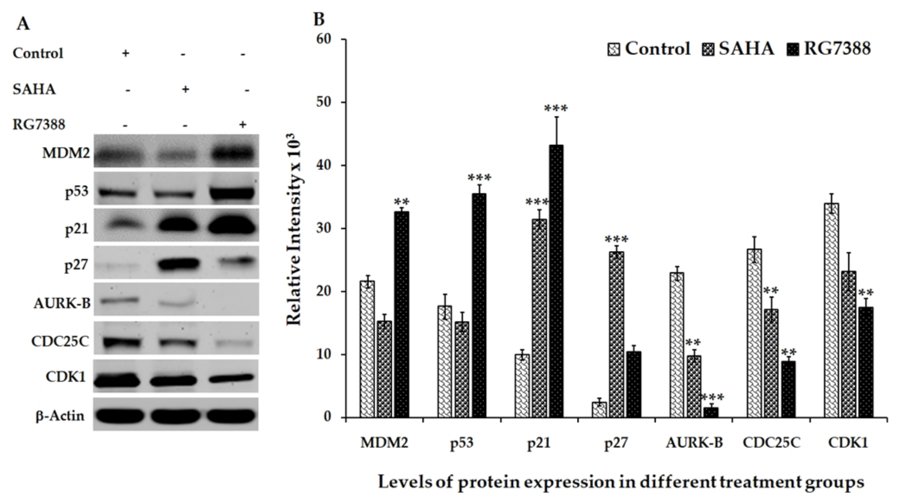Medicina 55 00030 g004 Medicina 55 00030 g004