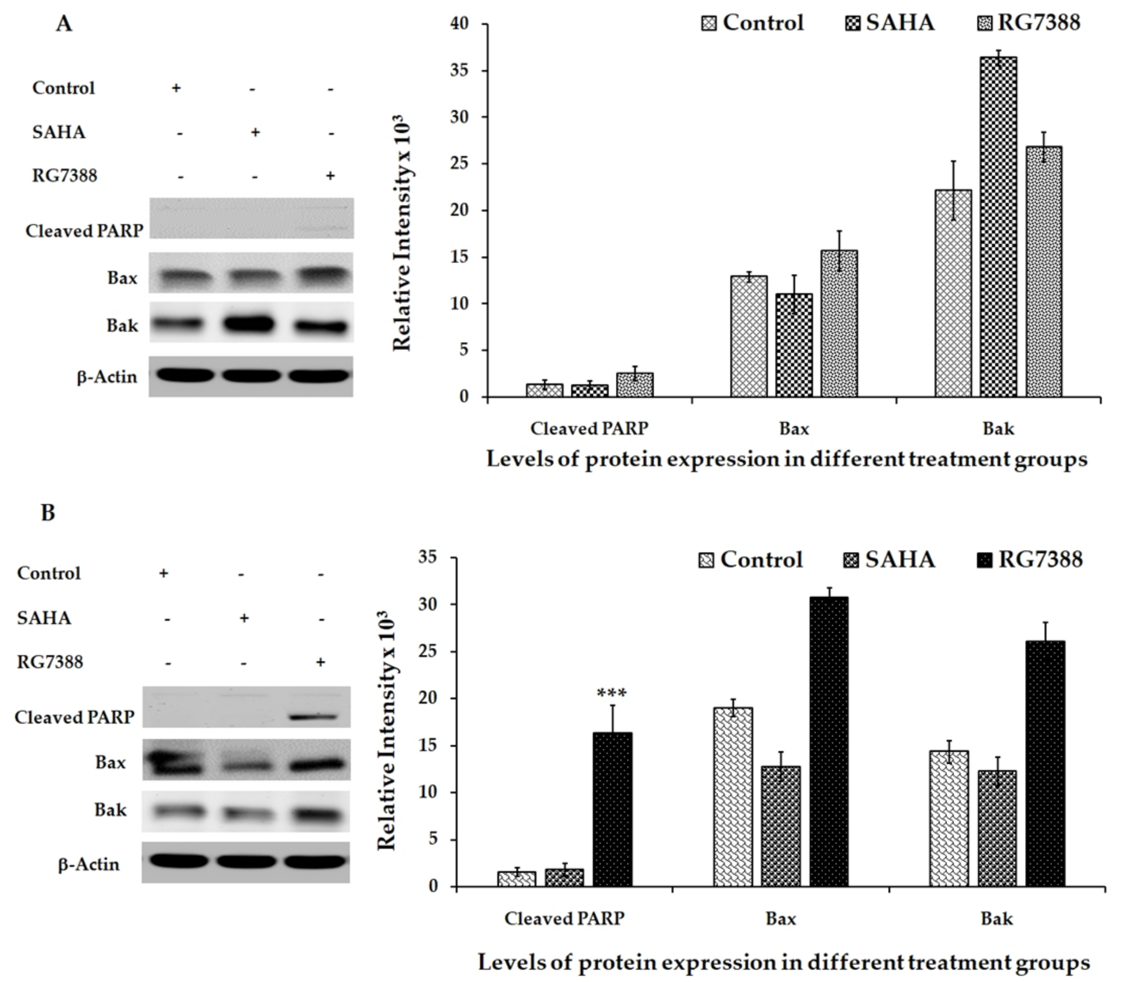 Medicina 55 00030 g006 Medicina 55 00030 g006