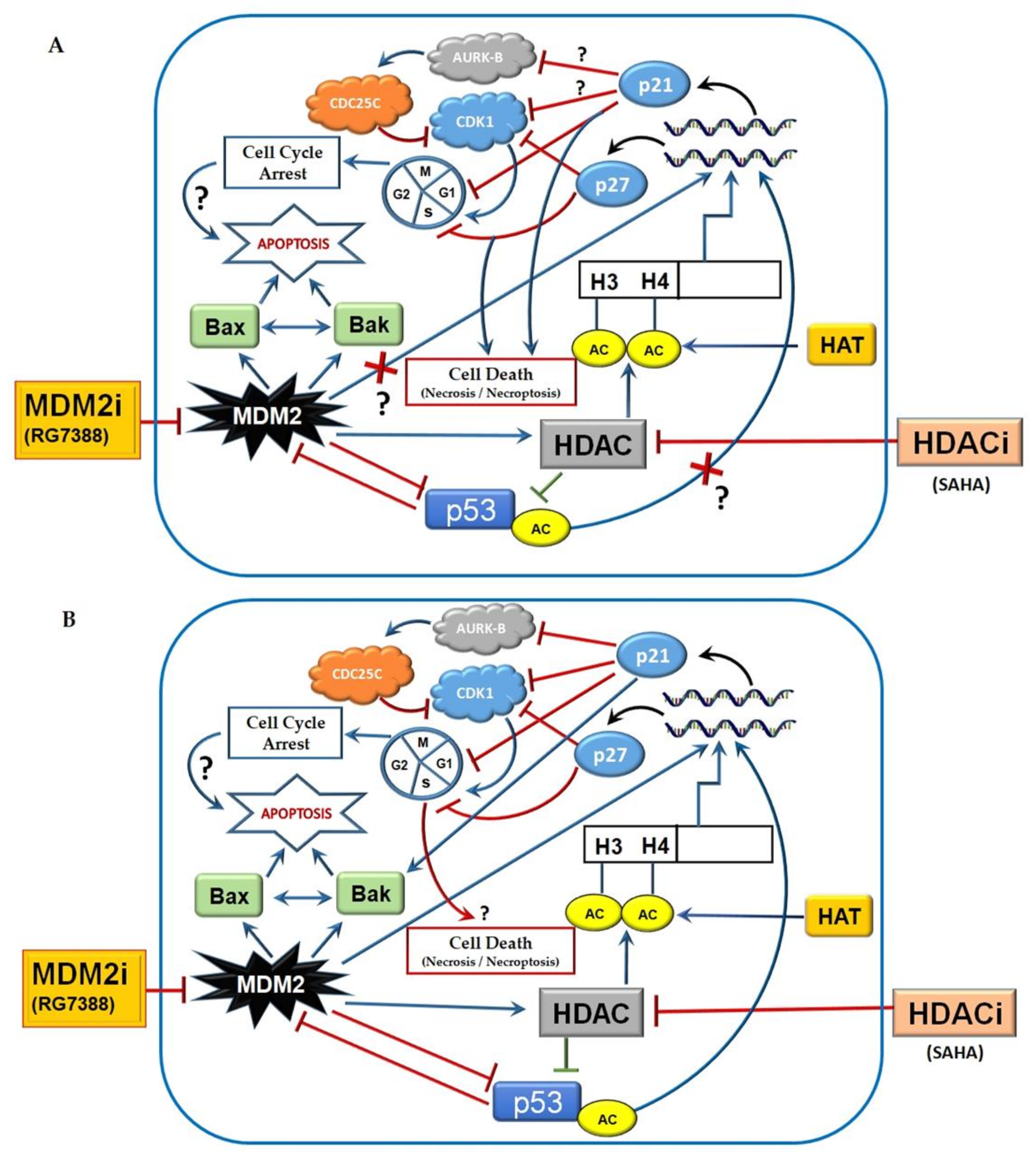 Medicina 55 00030 g007 Medicina 55 00030 g007