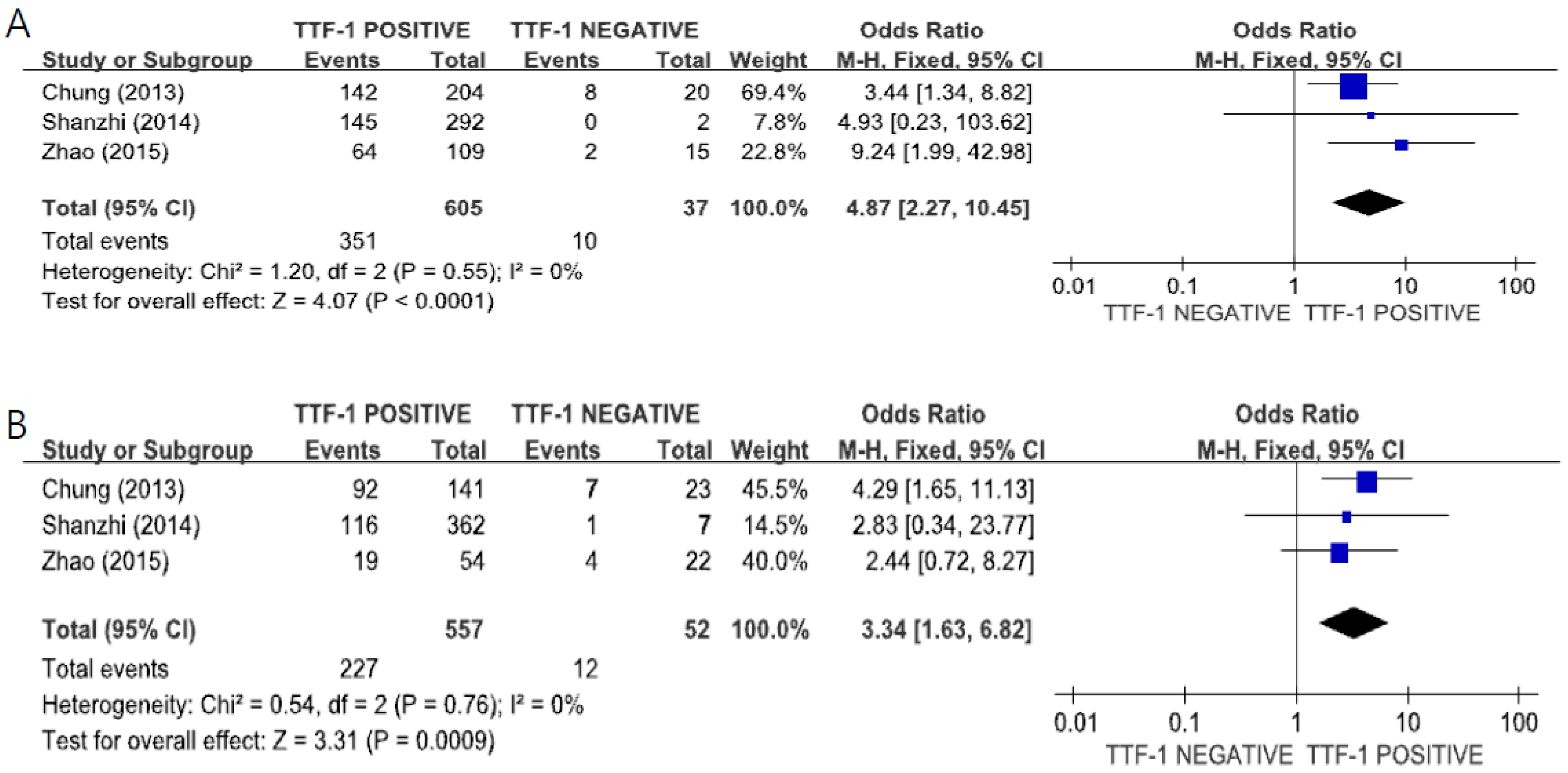 Medicina 55 00041 g004