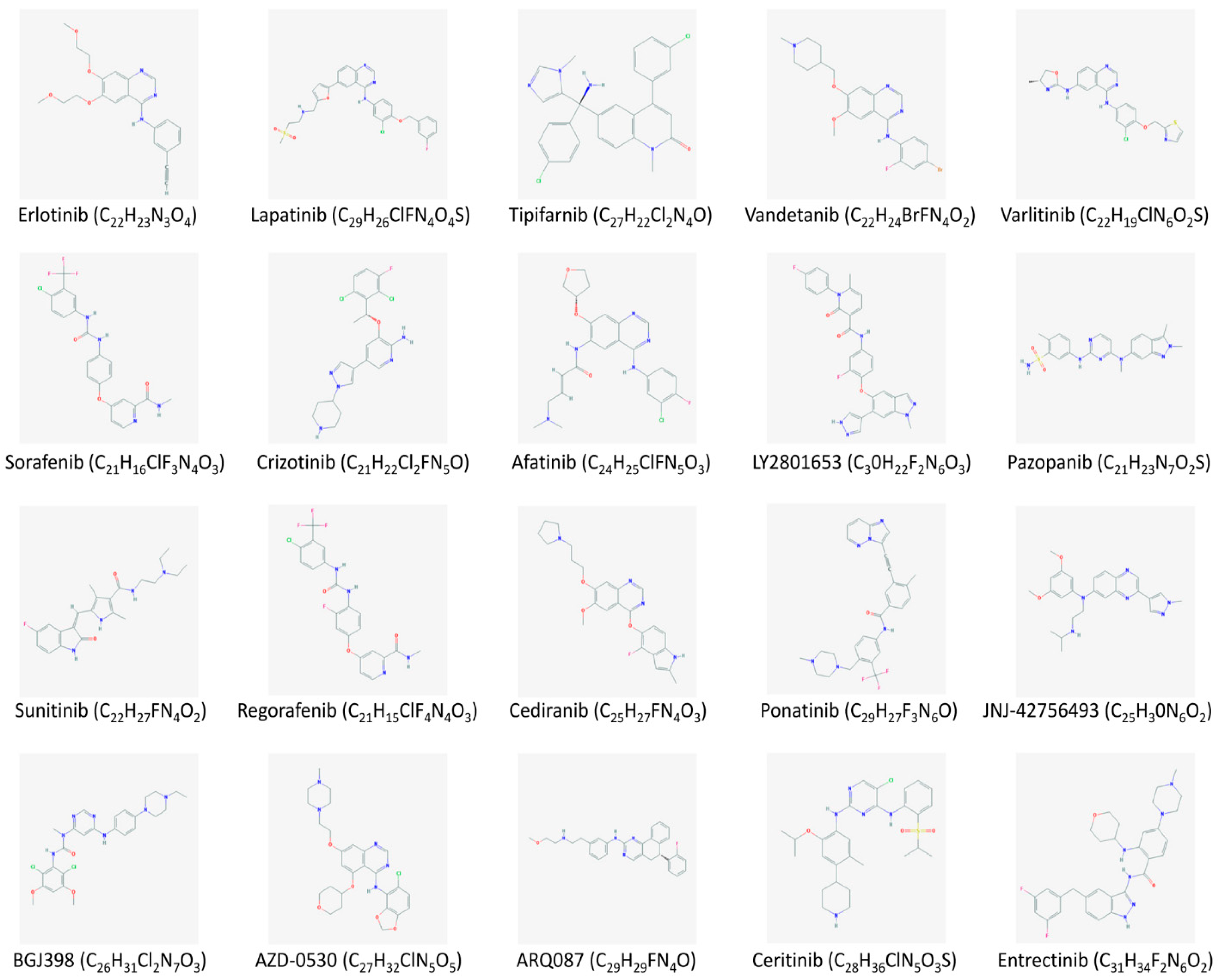 Medicina 55 00042 g001