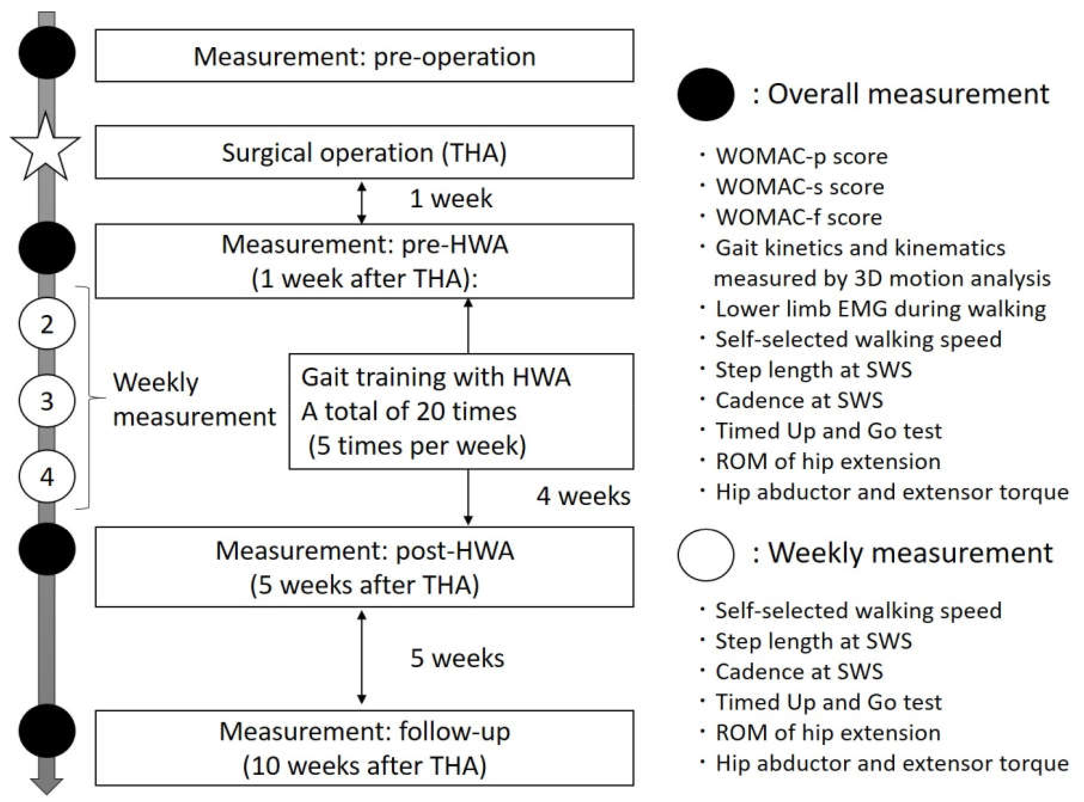 Medicina 55 00069 g002
