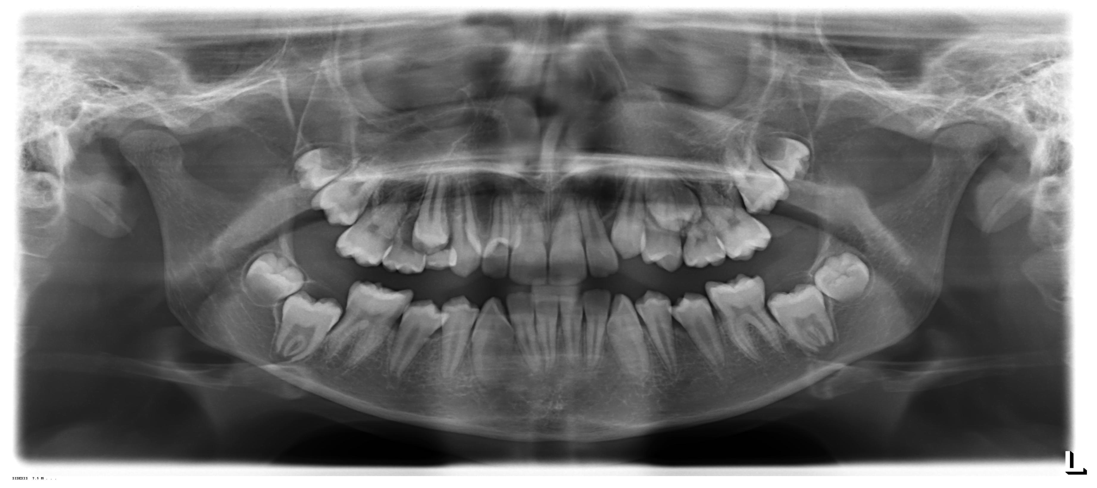 Medicina 55 00079 g002