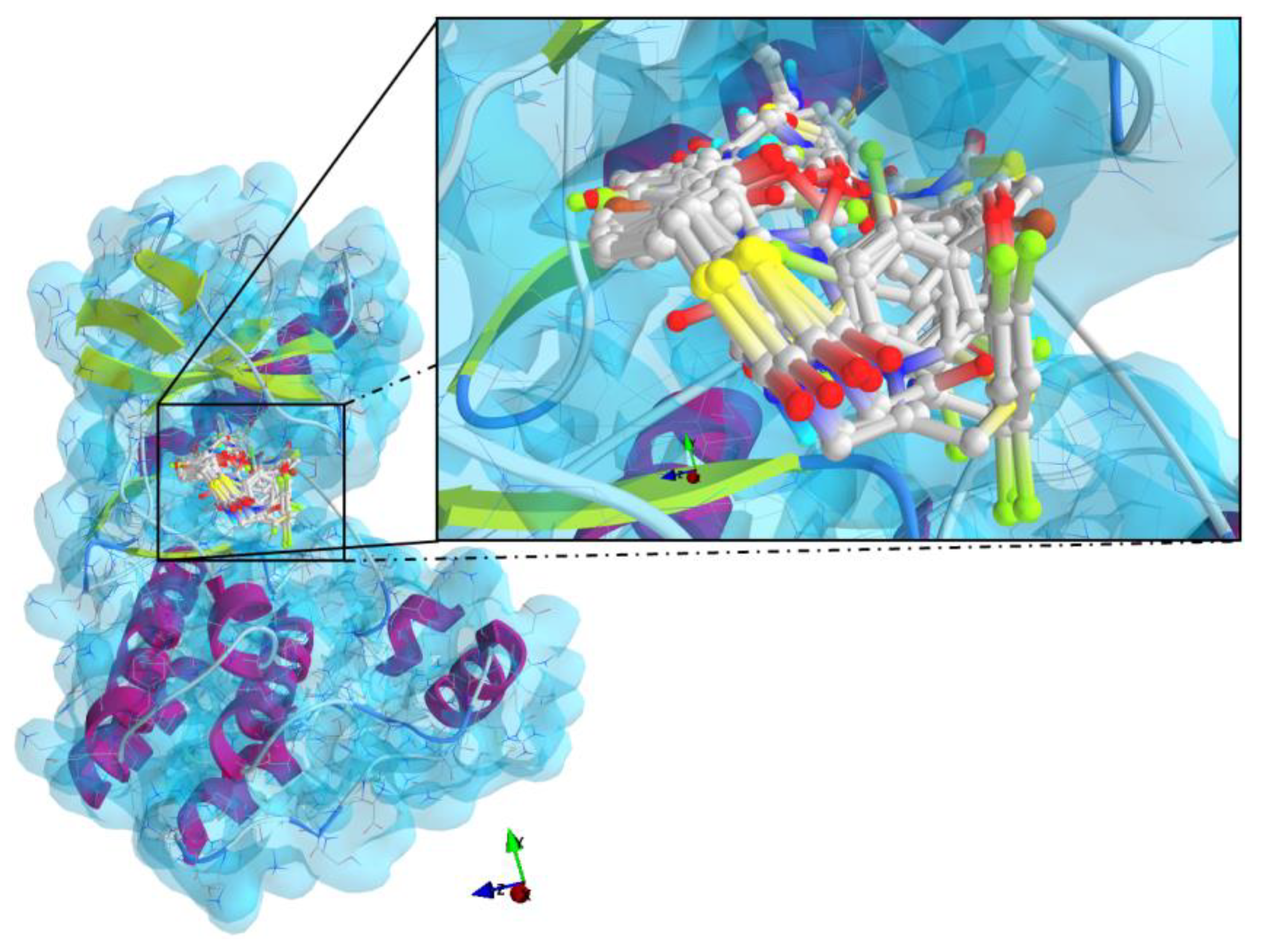 Medicina 55 00085 g005