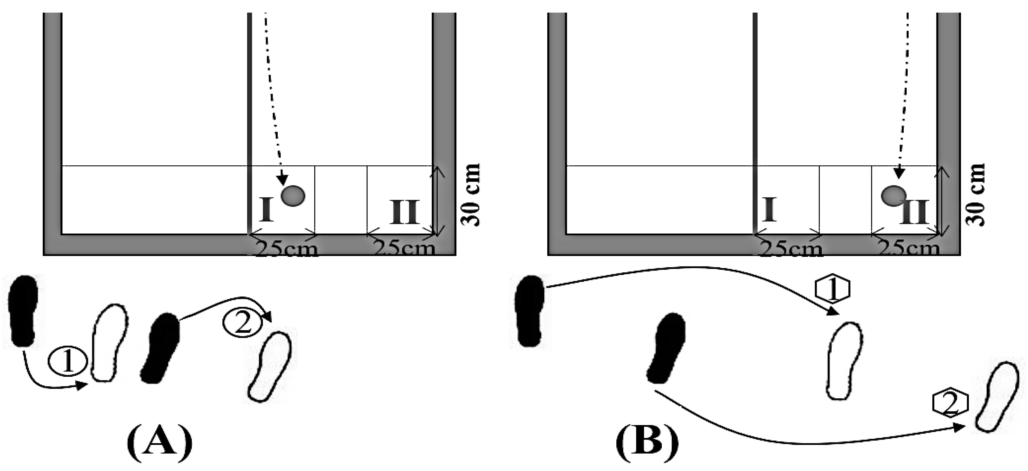 Medicina 55 00097 g001
