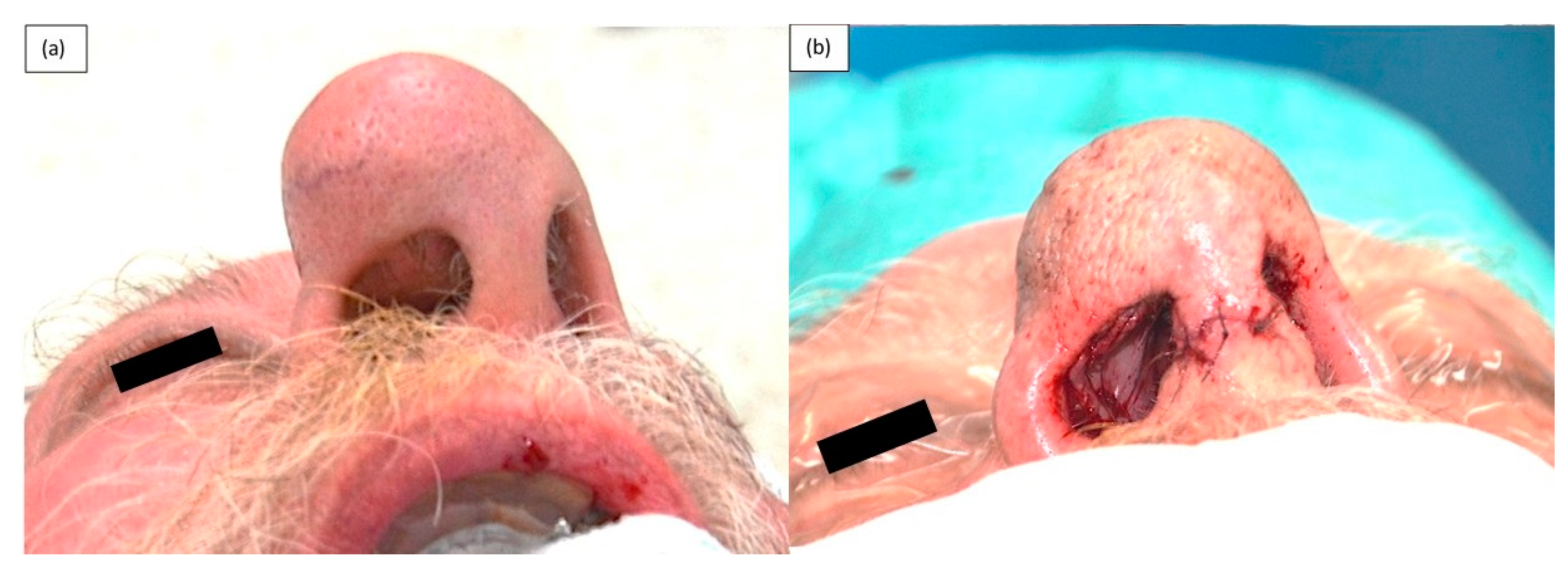 Medicina 55 00128 g006