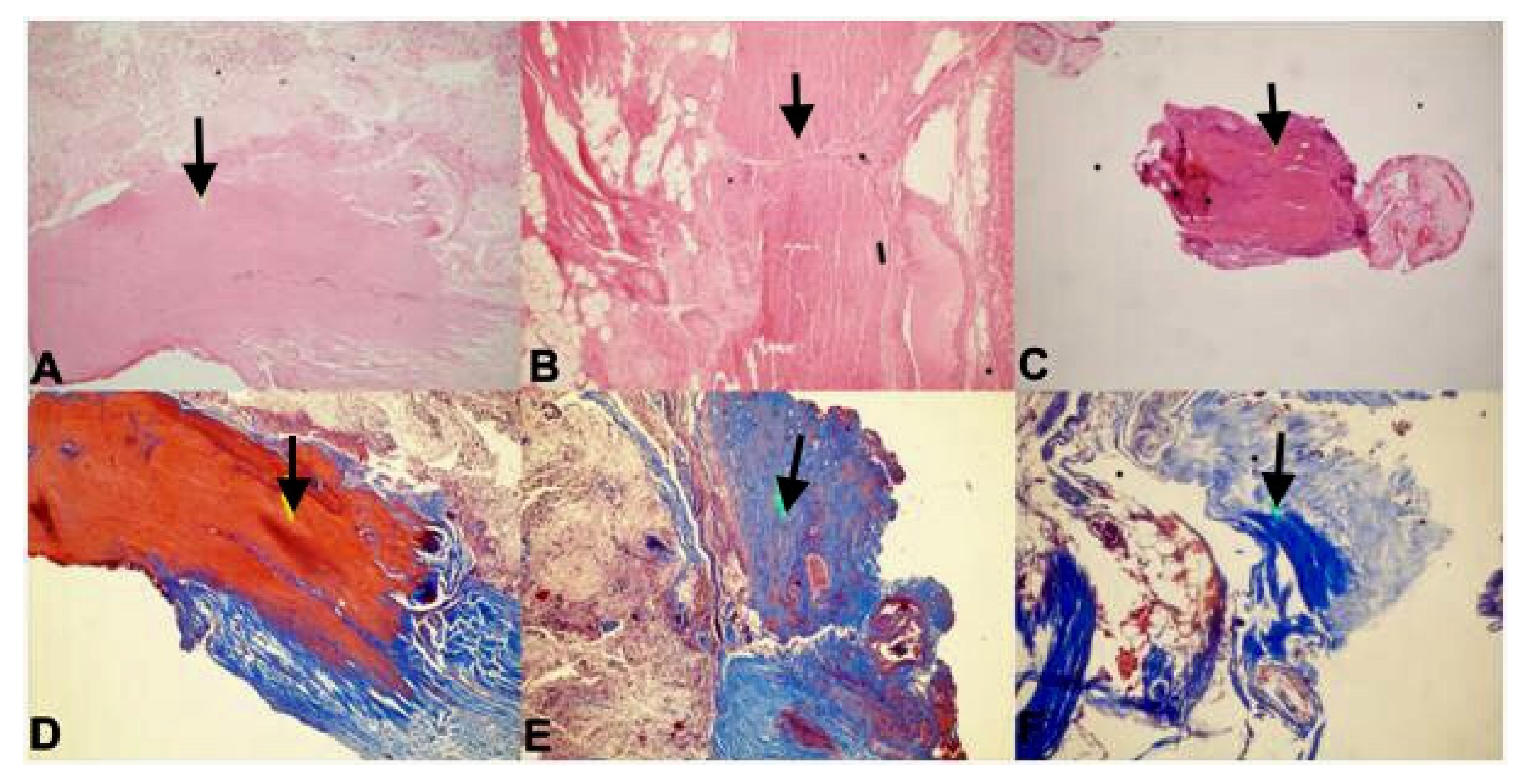 Medicina 55 00133 g003 Medicina 55 00133 g003