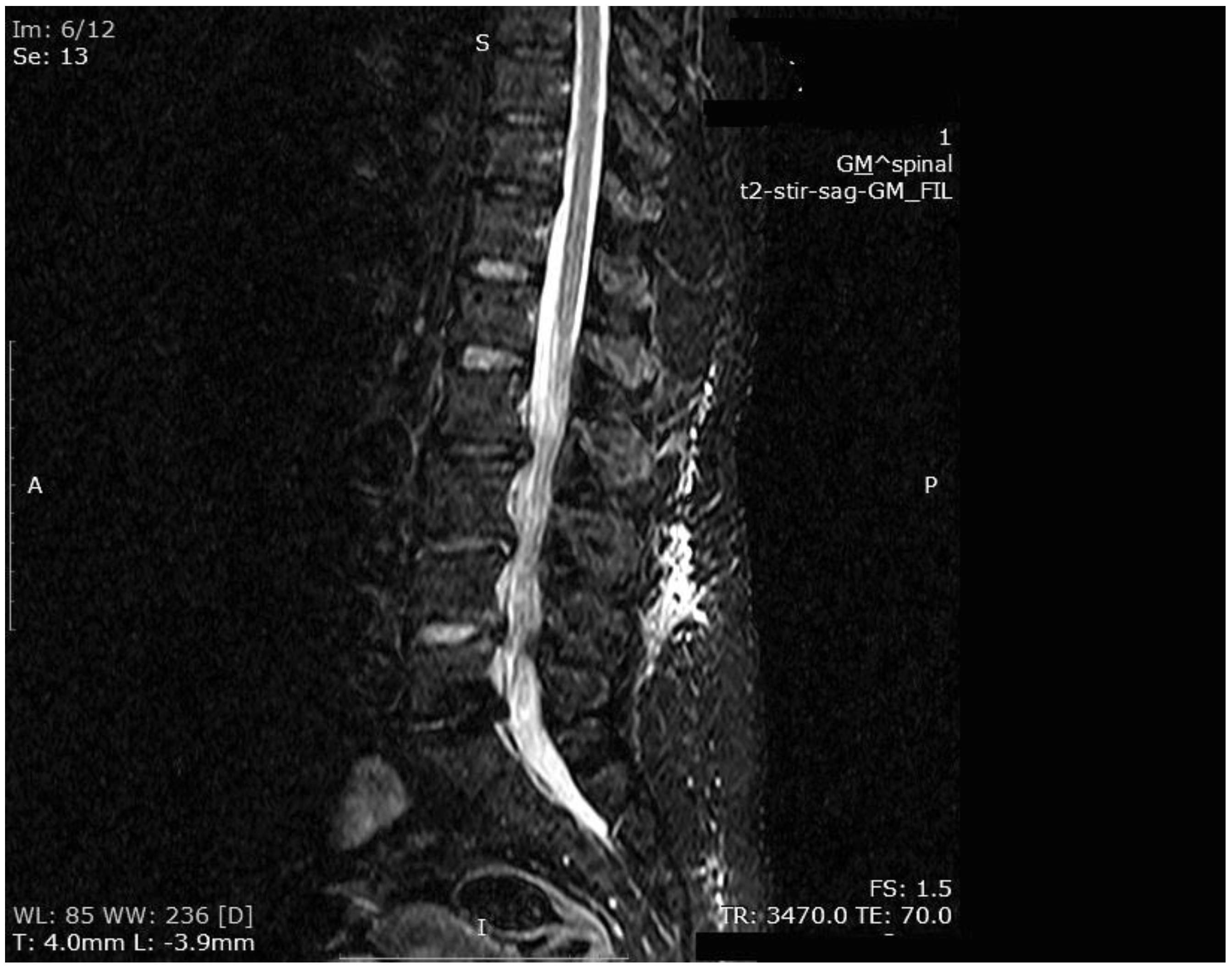 Medicina 55 00164 g005