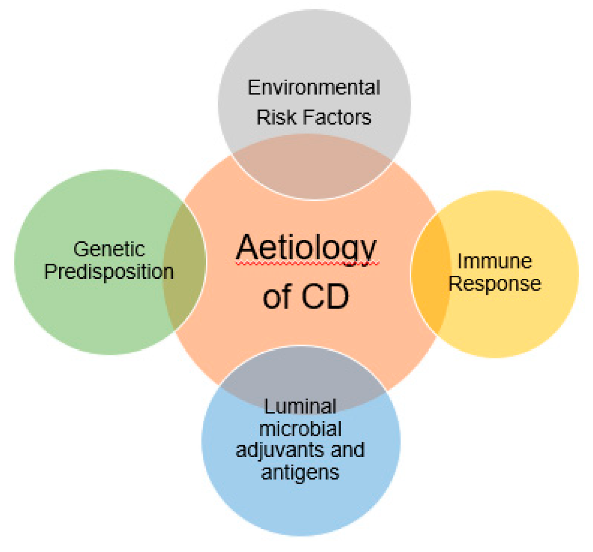 Medicina 55 00224 g002 Medicina 55 00224 g002