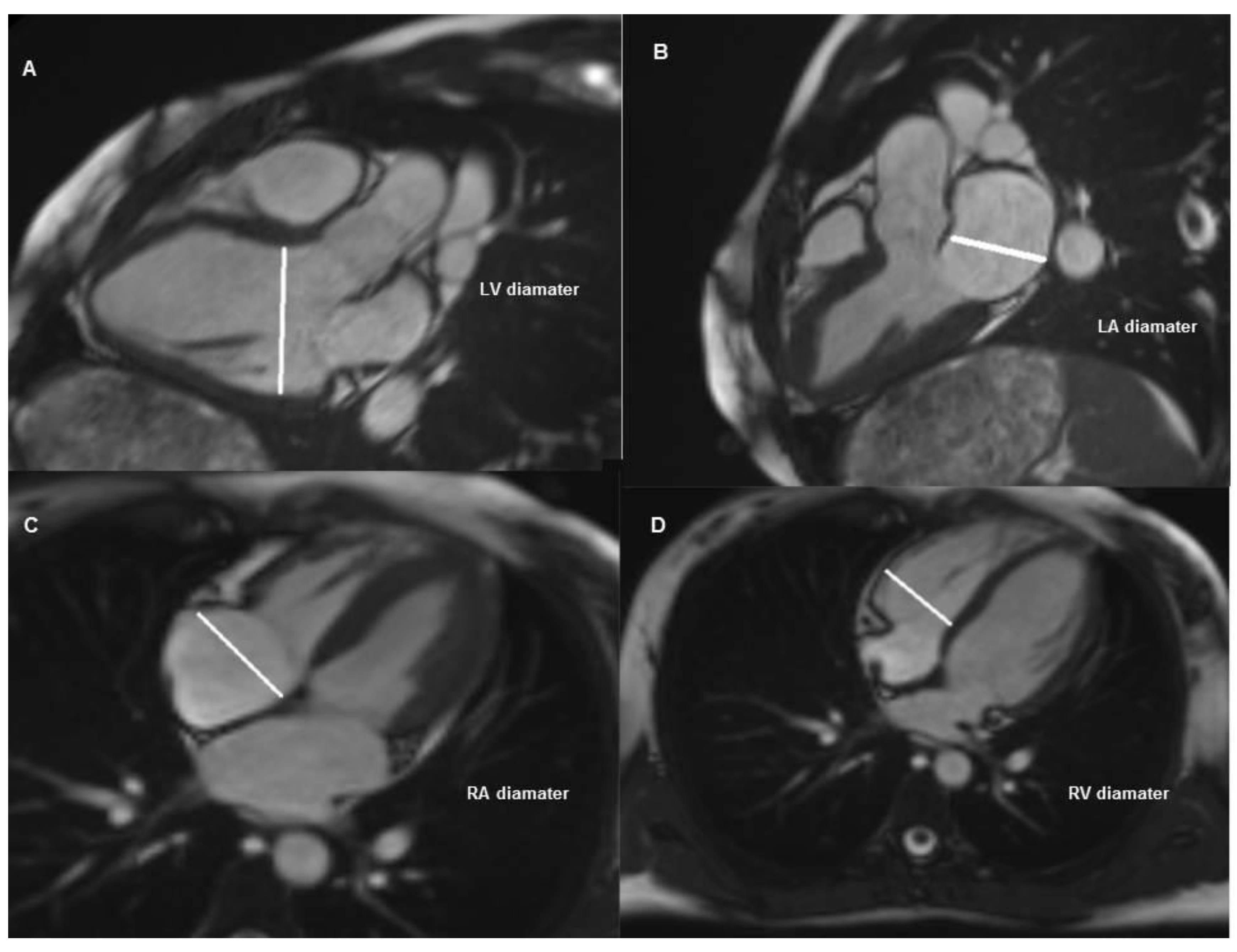 Medicina 55 00260 g002