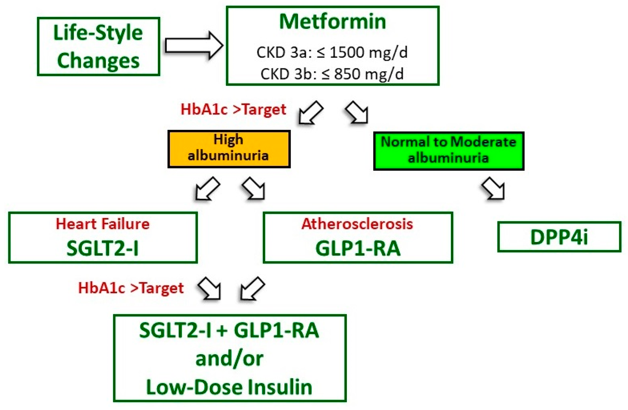 Medicina 55 00268 g002
