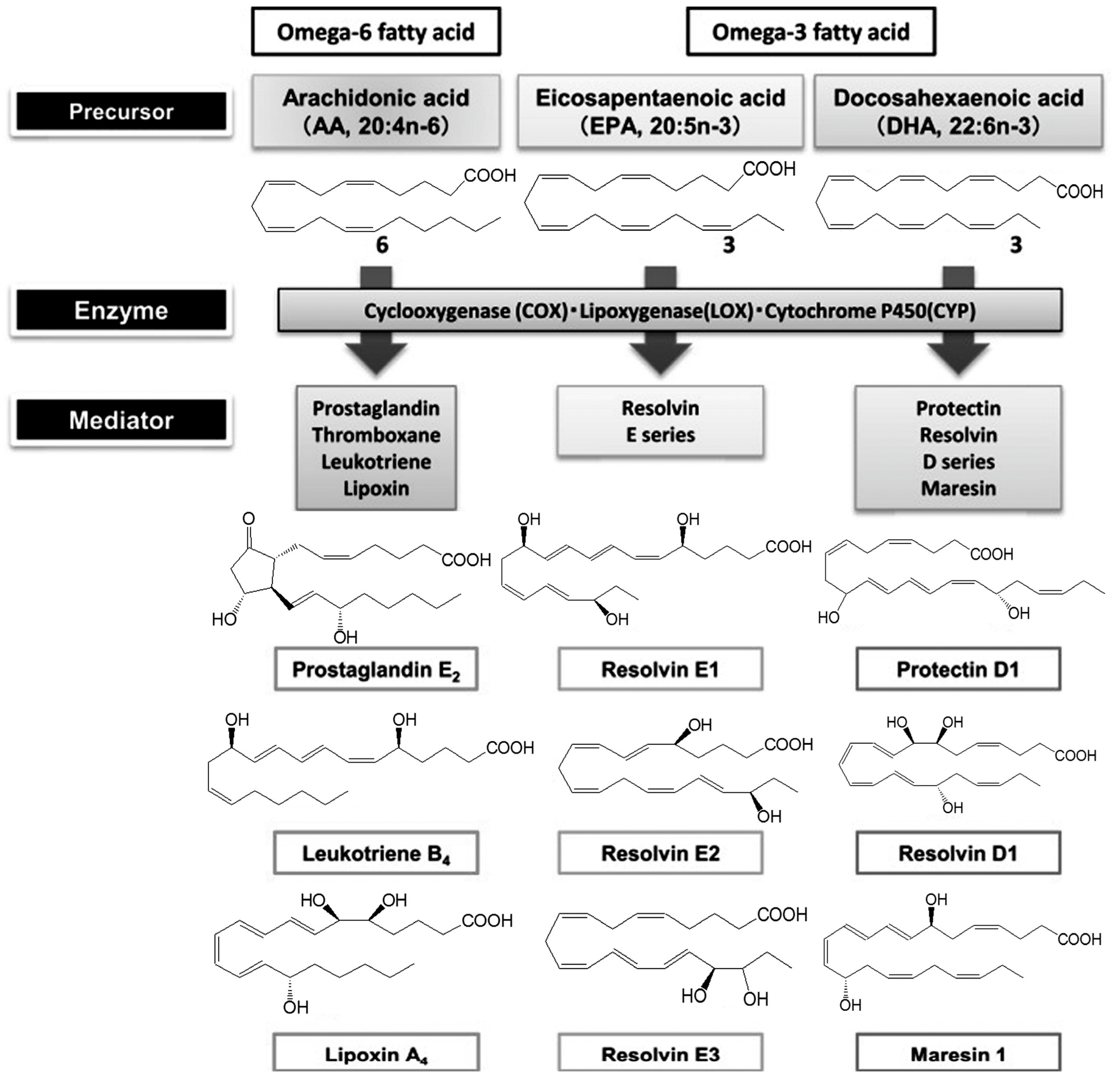 Medicina 55 00284 g001