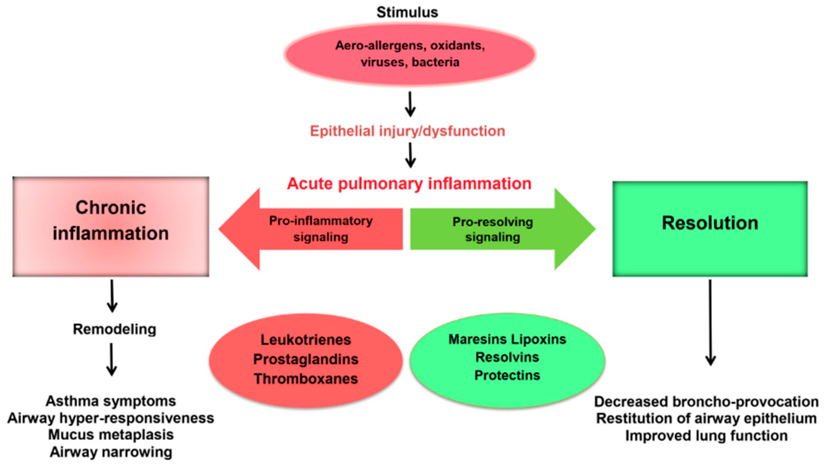 Medicina 55 00284 g002