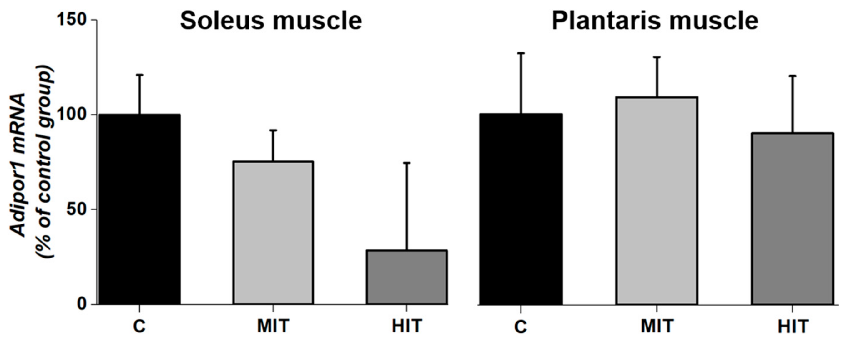 Medicina 55 00291 g004 Medicina 55 00291 g004